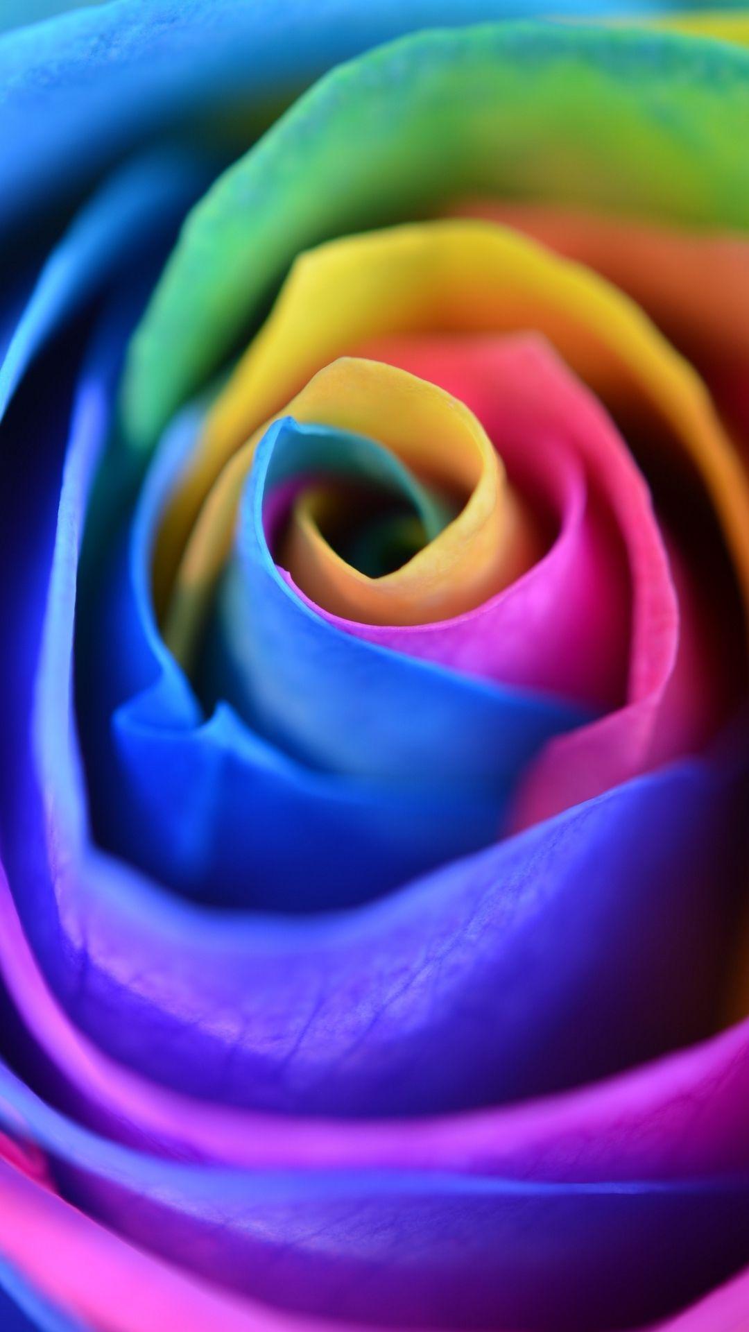 Rainbow Flower iPhone Wallpapers - Top Free Rainbow Flower iPhone ...