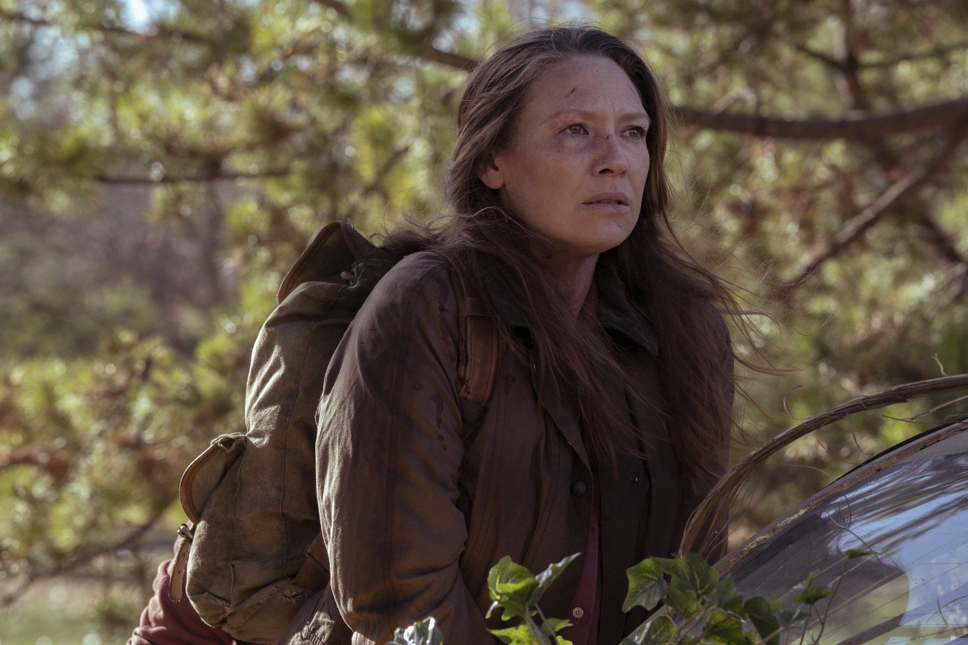 1920x1280 The Last of Us HD Wallpaper Featuring Anna Torvx1280