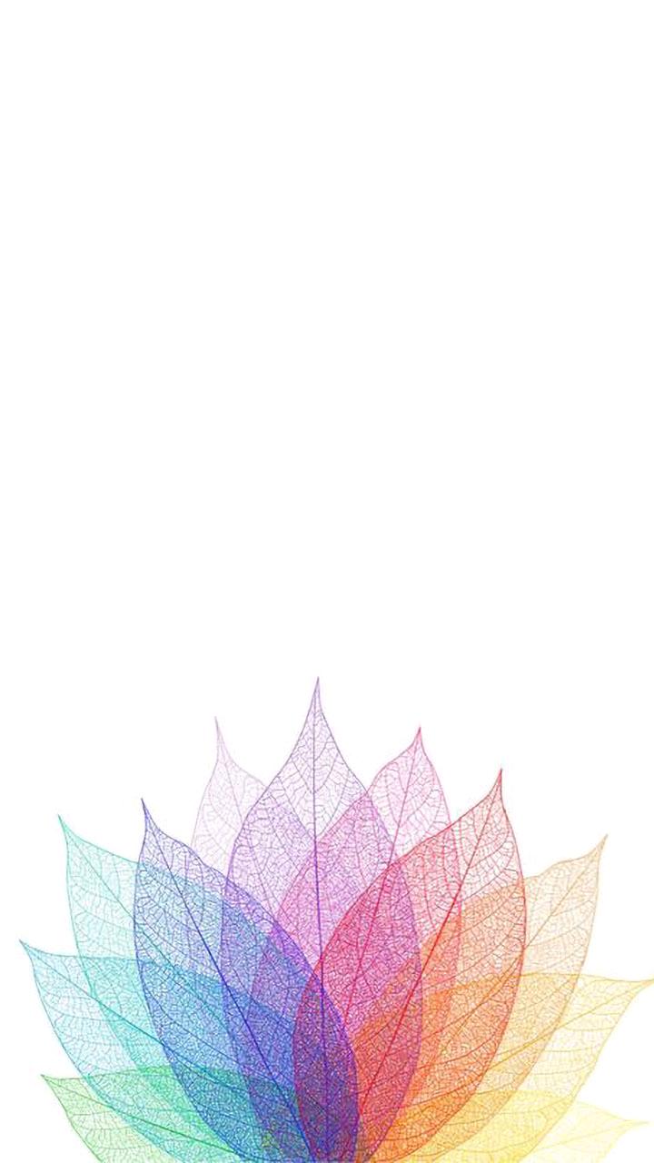 720x1280 Minimalist Flower Wallpaper