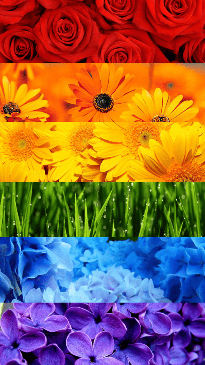 719x1280 Pride Dark iPhone Wallpaper .