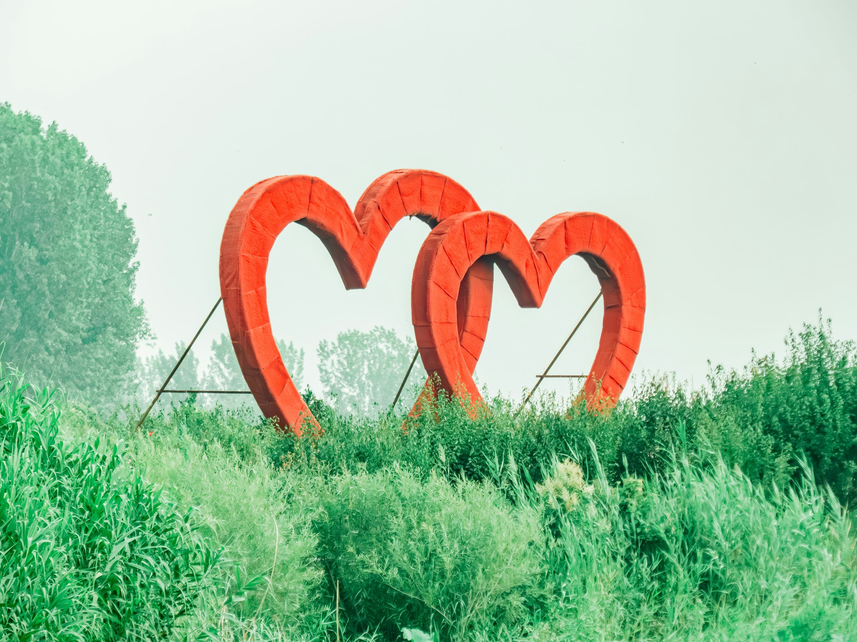 3000x2250 True Love Picture. Download Free Image