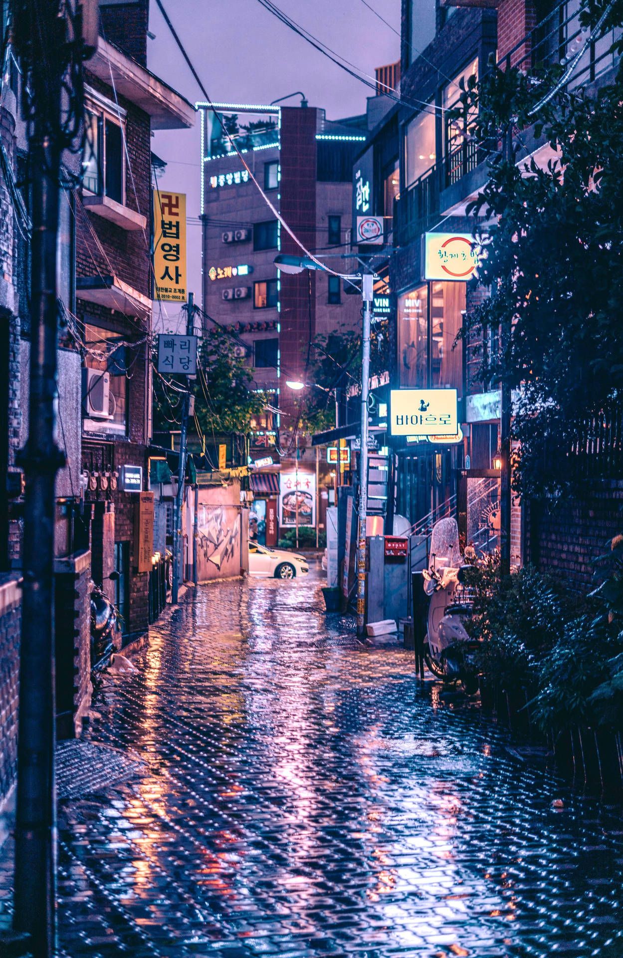 1249x1920 