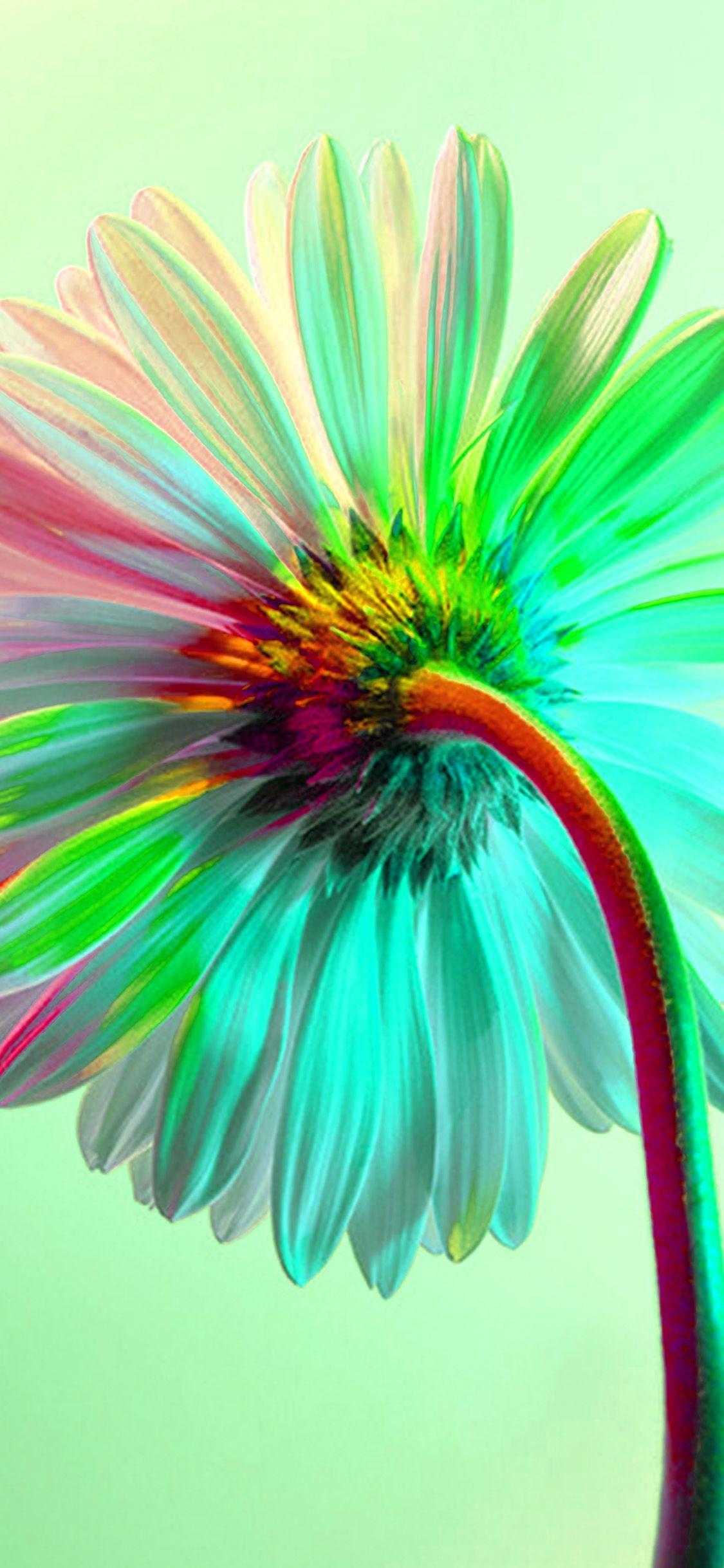 1125x2436 iPhone wallpaper. art flower rainbow green