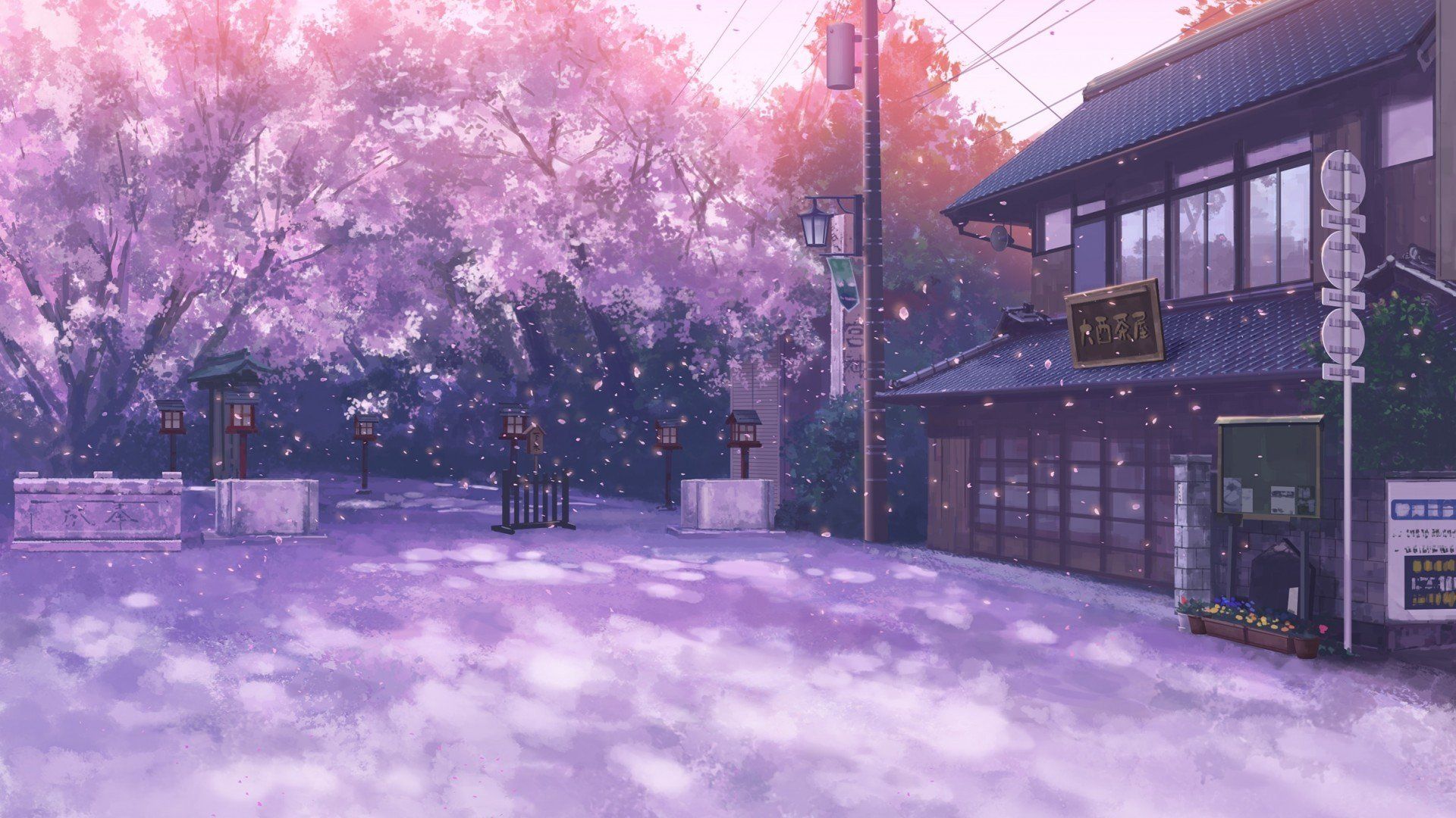 1920x1080 Sakura Wallpaper 1920x1080 65897