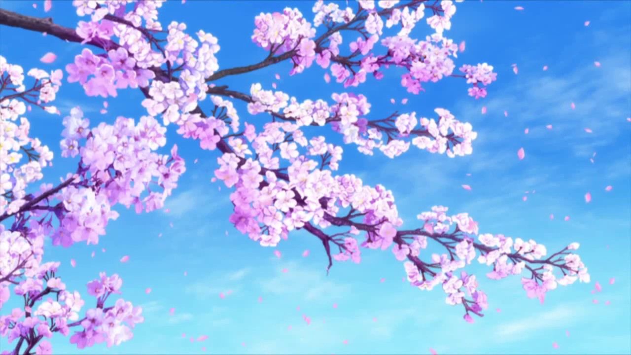1280x720 Sakura Wallpaper 1280x720 56918