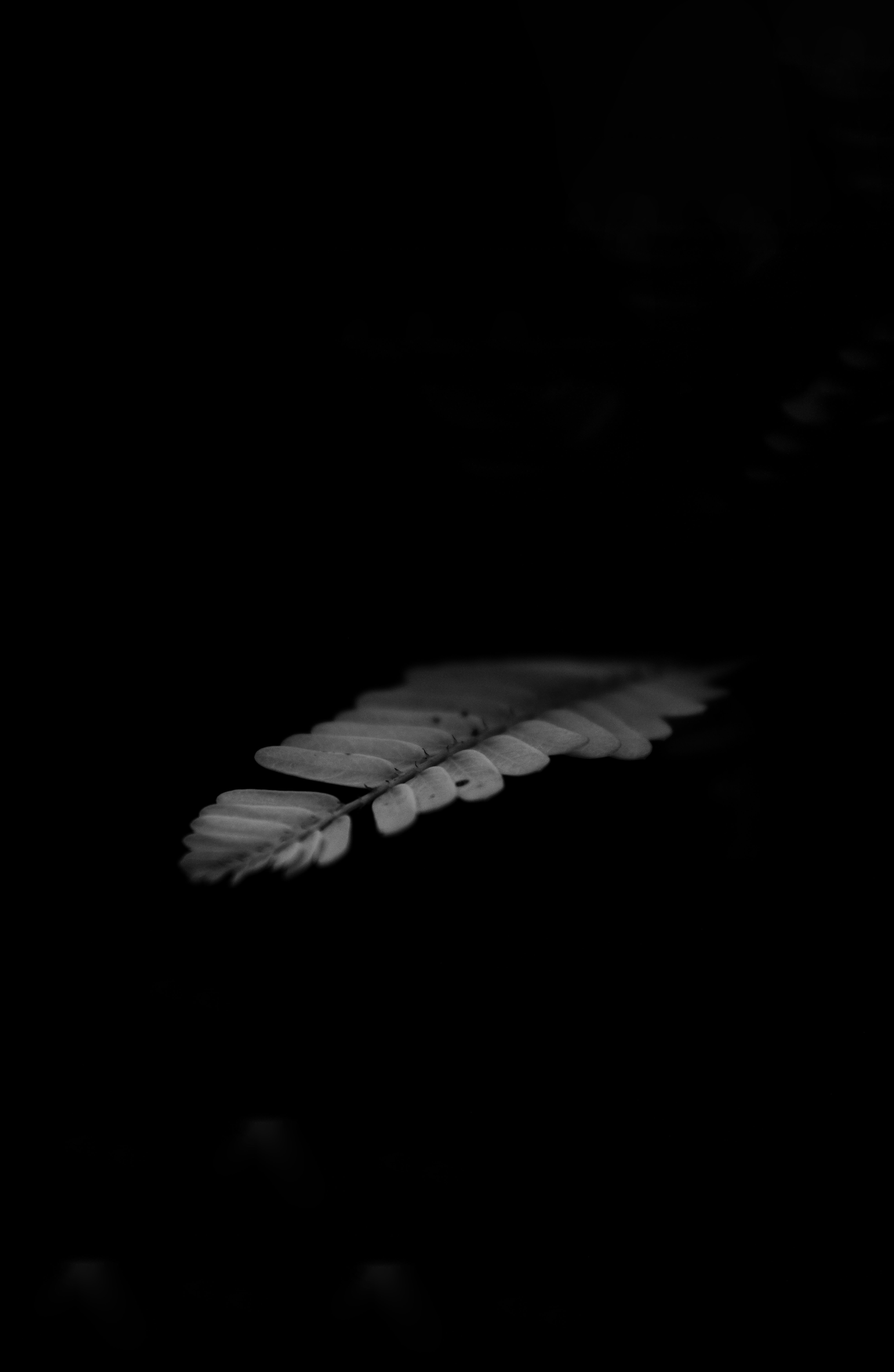 5184x7958 Black Background Photo, Download The BEST Free Black Background & HD Image