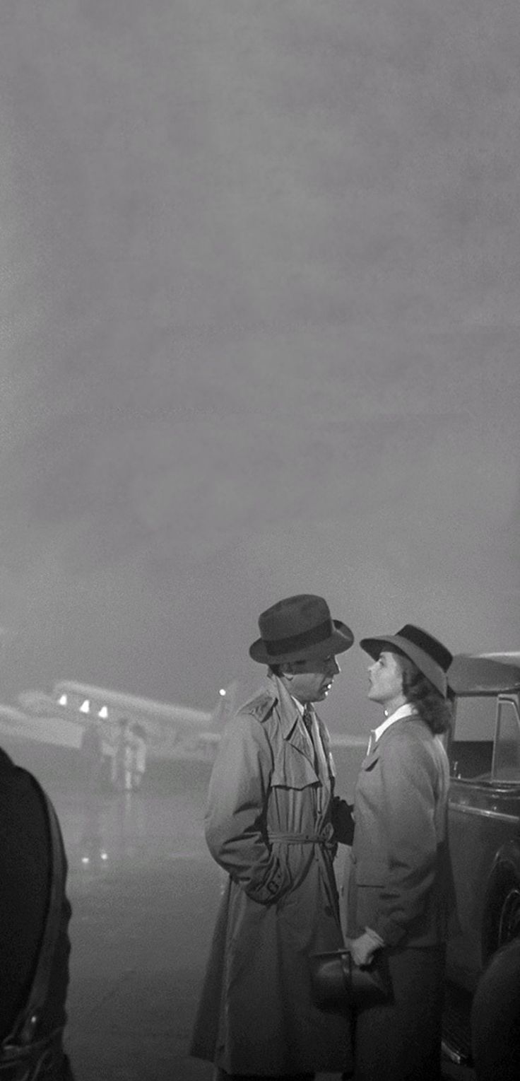 736x1529 Casablanca Wallpaper