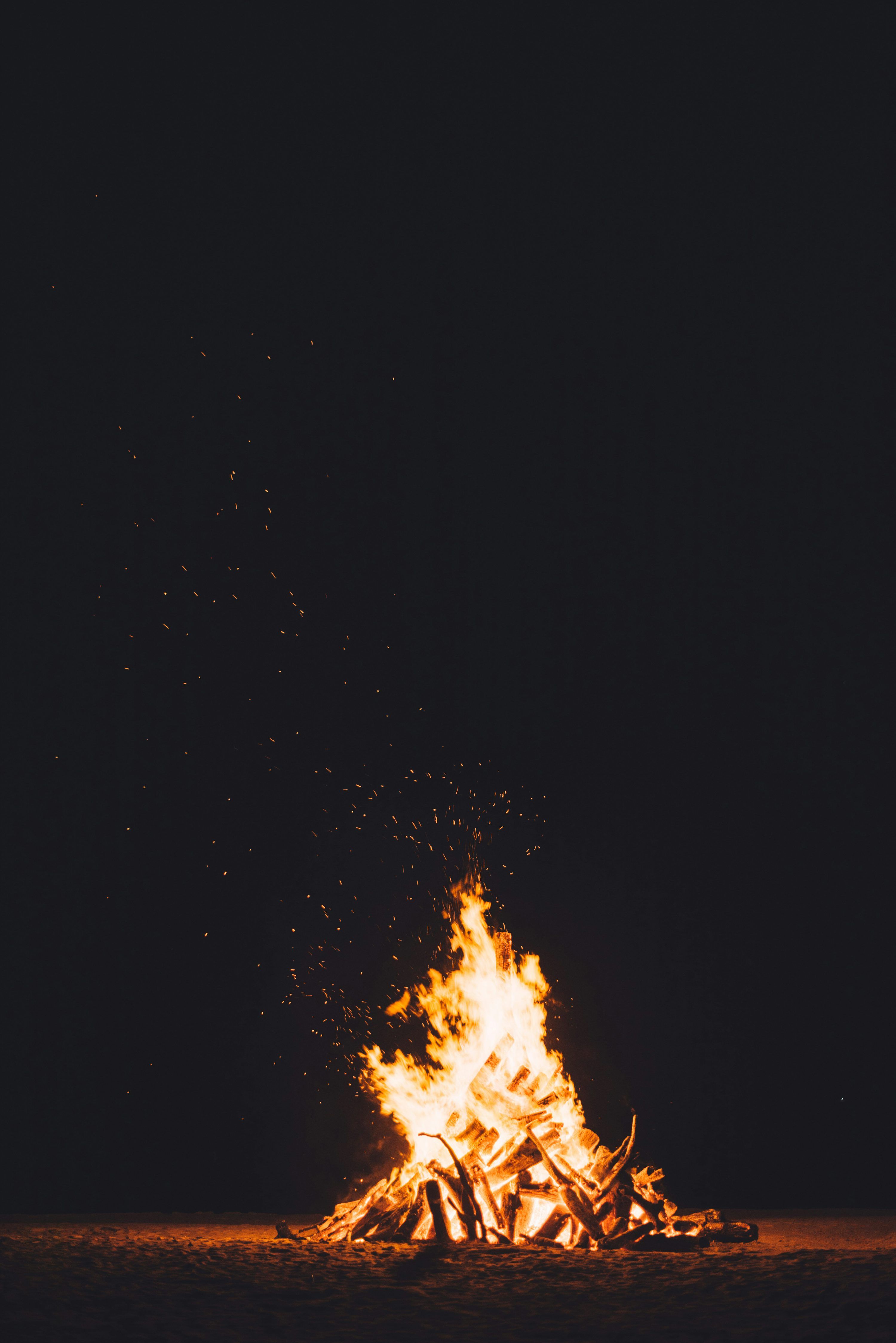 3000x4494 Bonfire Night Picture. Download Free Image