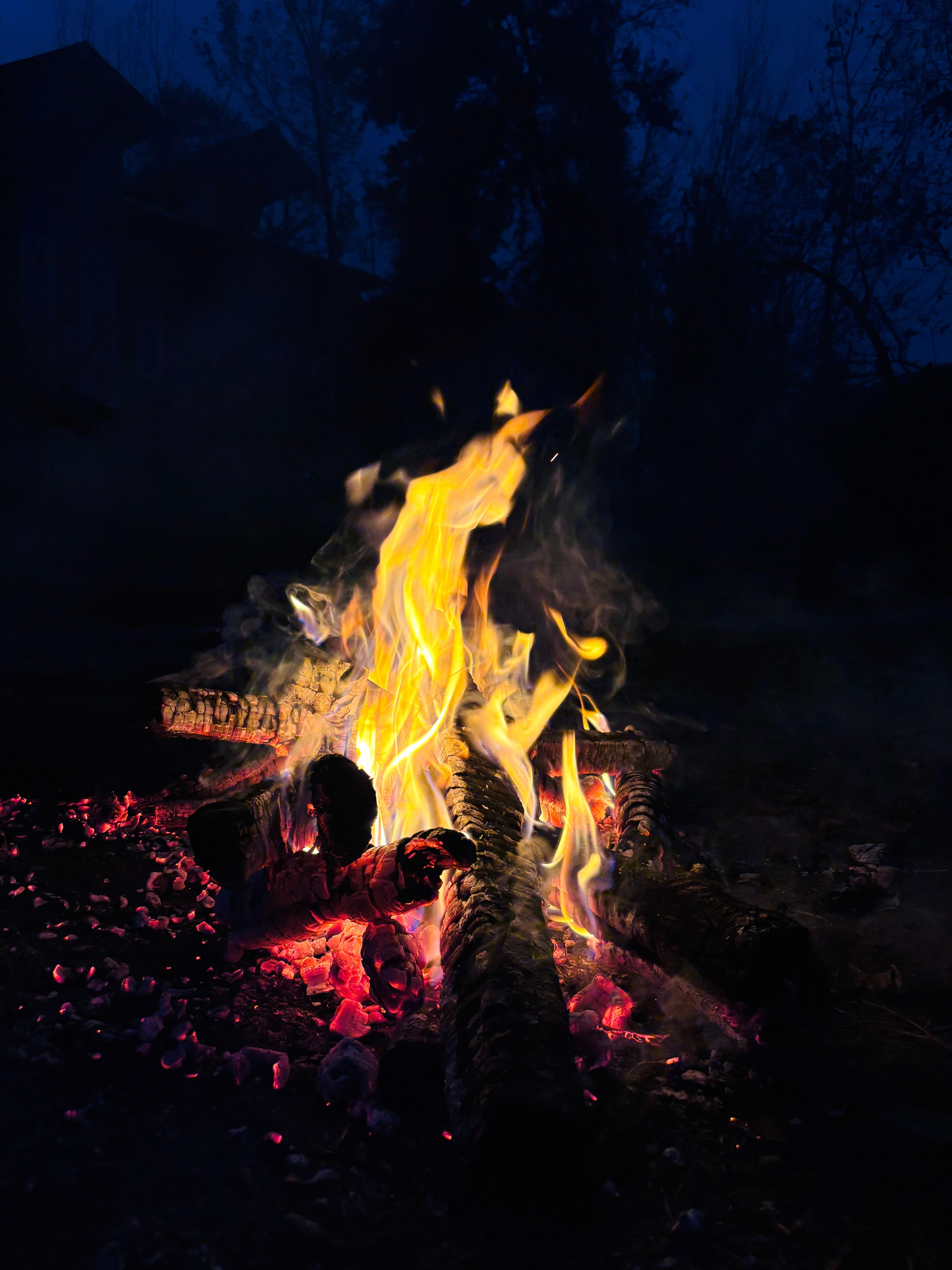 4284x5712 Vibrant Campfire at Night with Glowing Flames · Free
