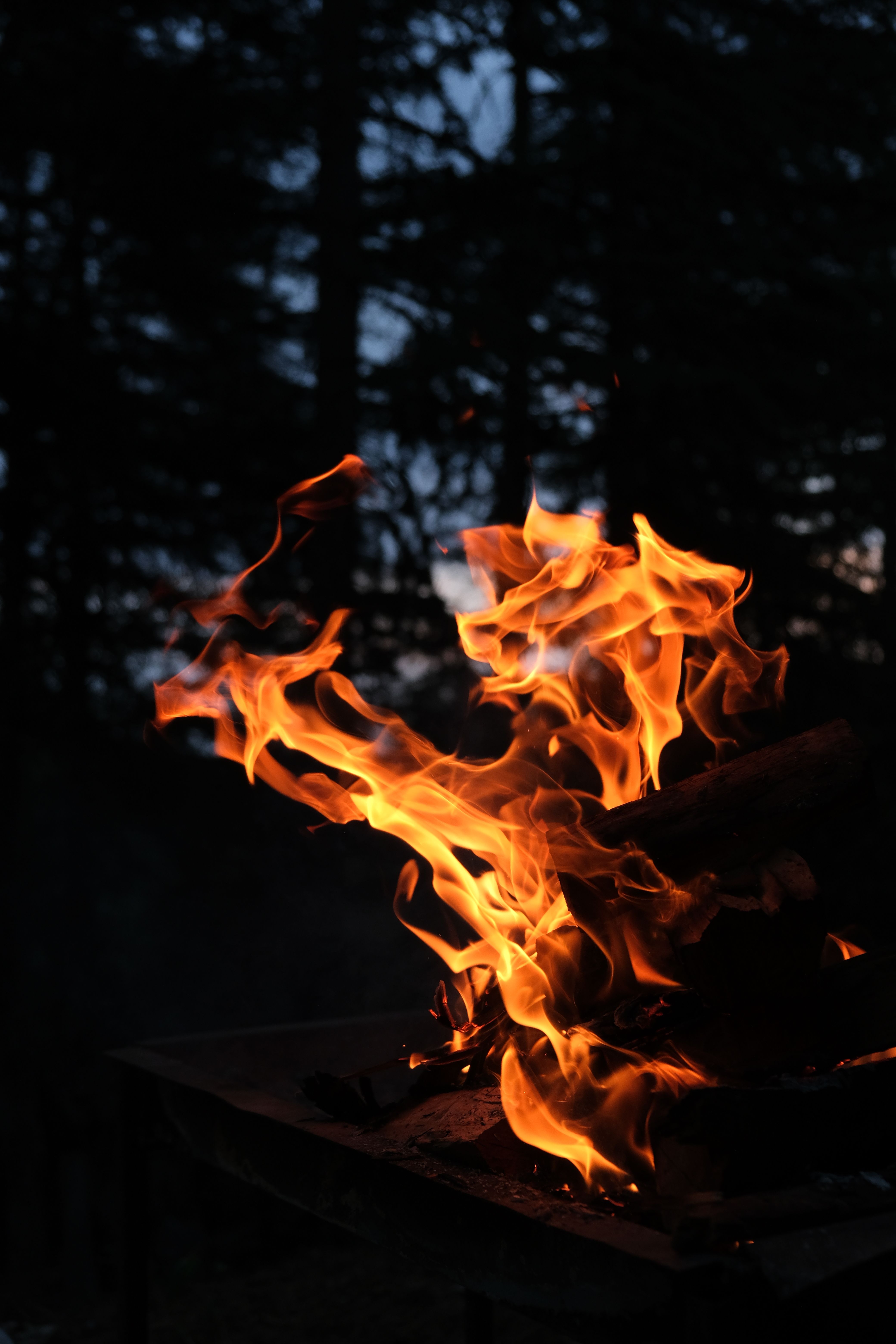 4160x6240 Bonfire at Night · Free