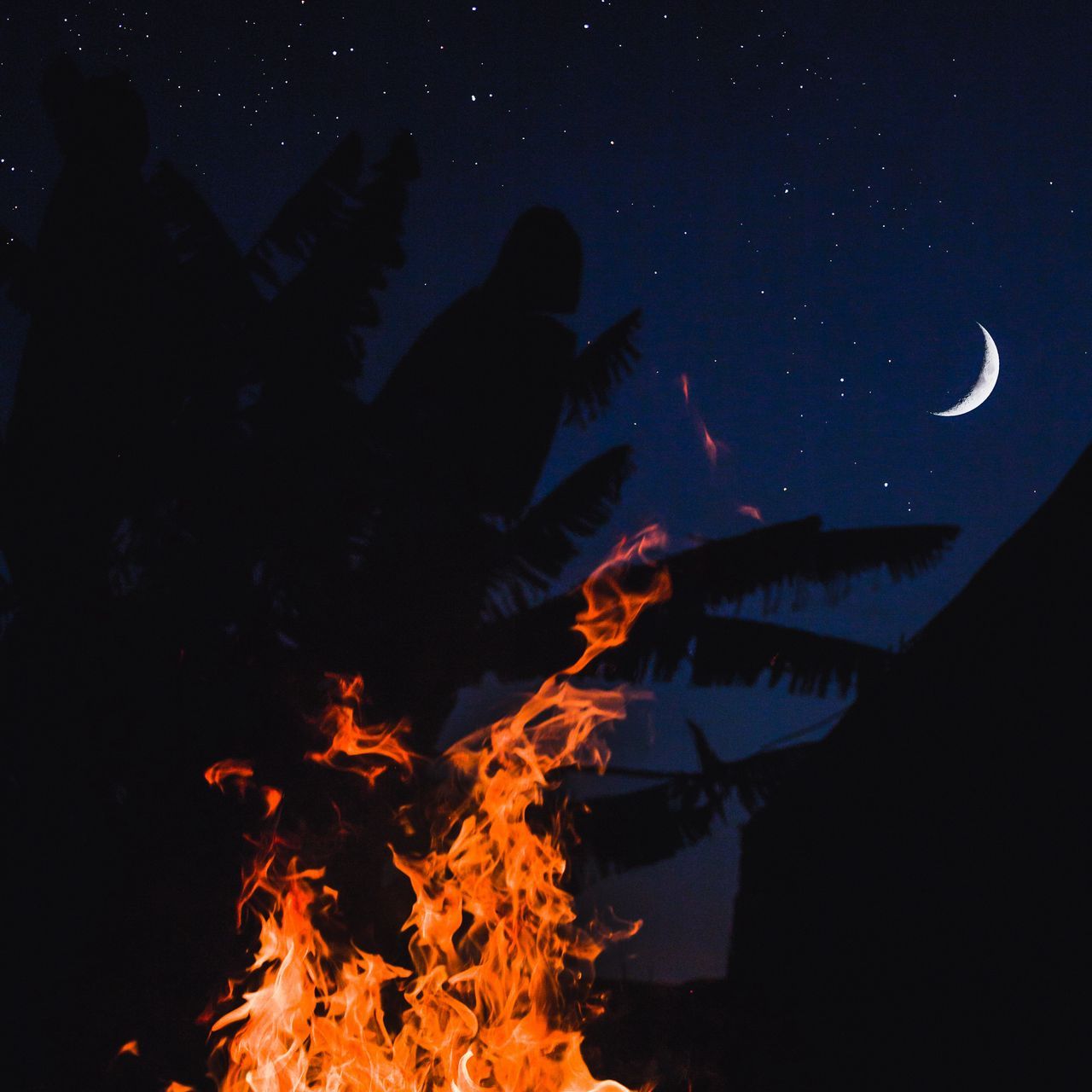 1280x1280 Download wallpaper 1280x1280 bonfire, fire, night, palm, moon, starry sky ipad, ipad ipad mini for parallax HD background