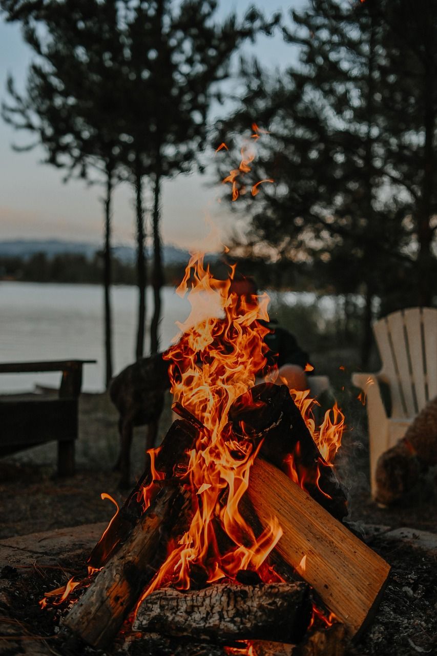 853x1280 Bonfire Campfire Lake