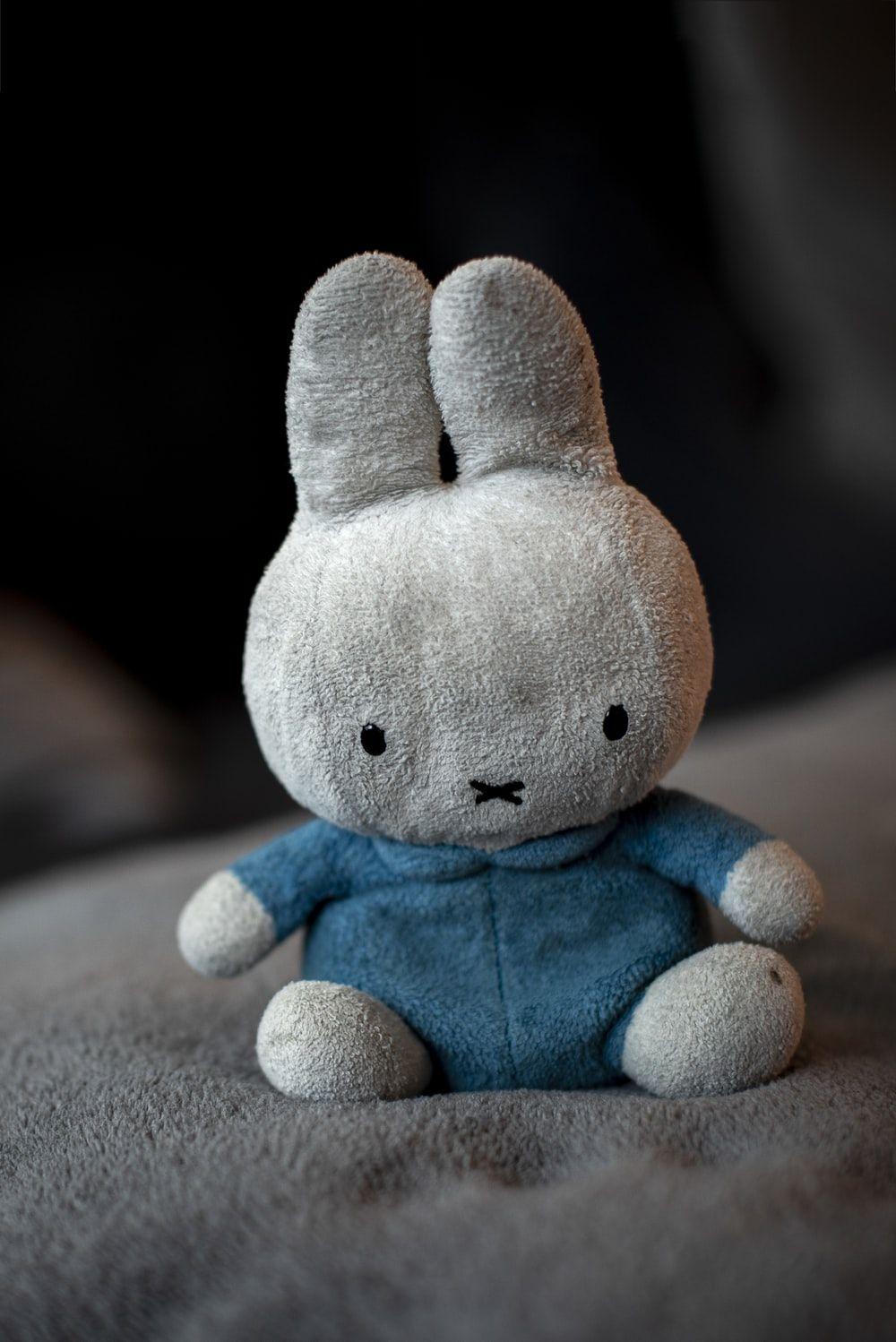 1000x1498 Soft Toy Picture. Download Free Image