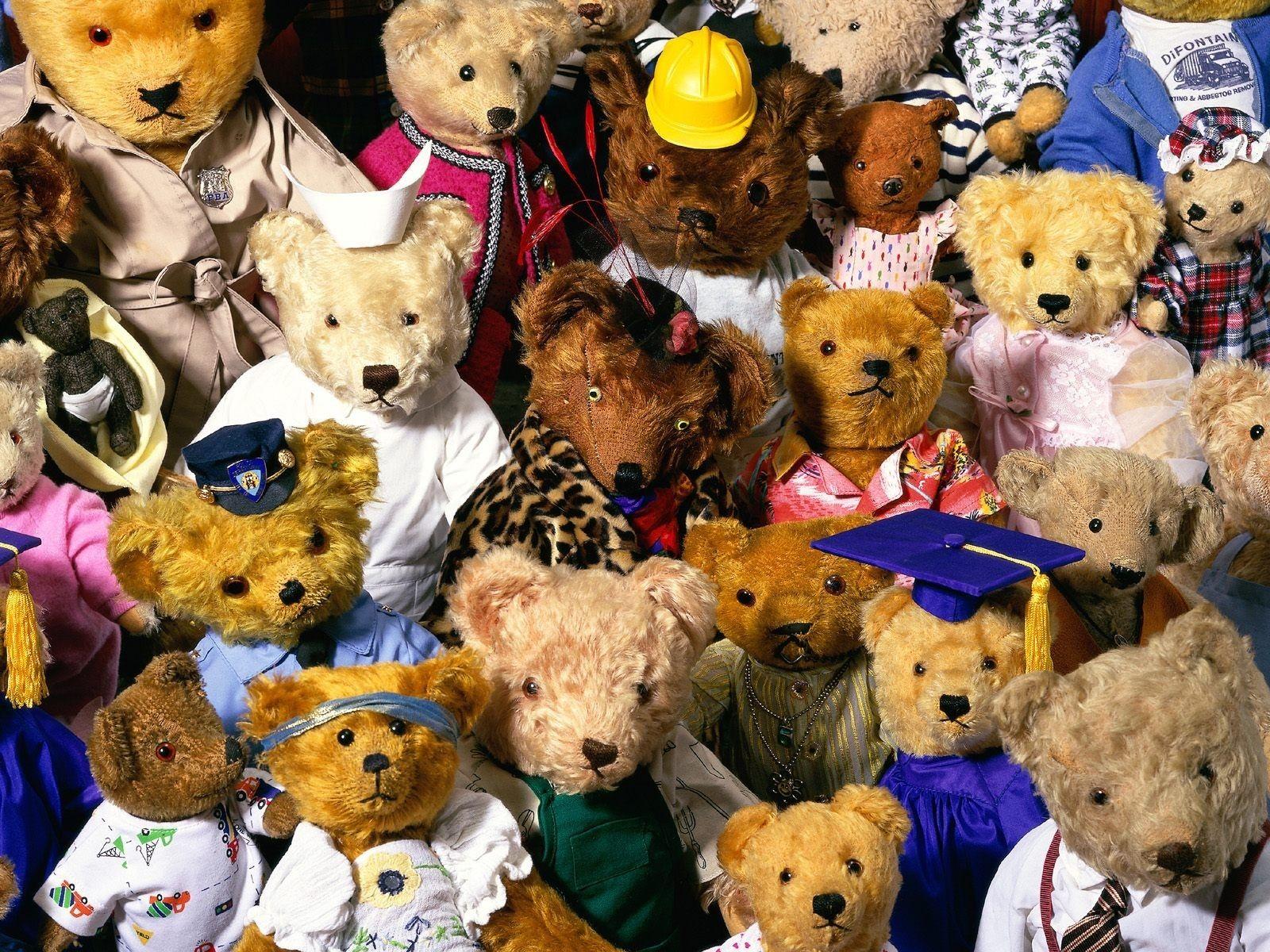 1600x1200 Stuffed Animal Wallpaper