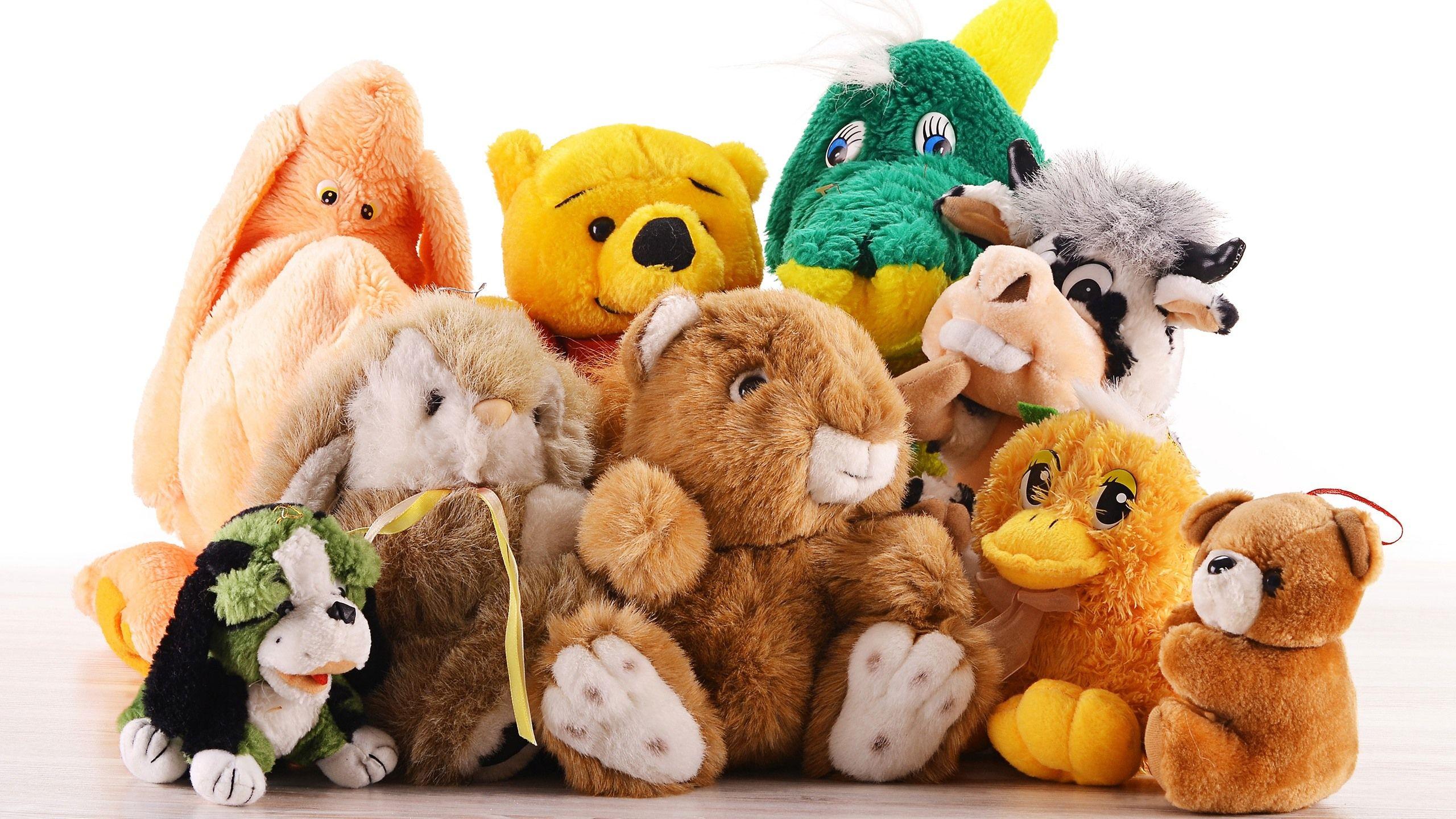 2560x1440 Wallpaper Some plush toys 2560x1600 HD Picture, Image
