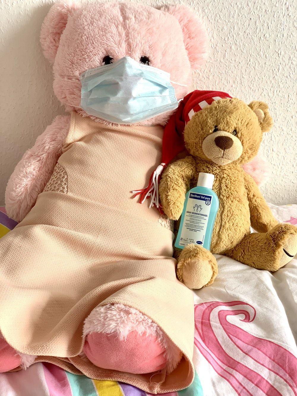 1000x1333 Best Teddy Bear Picture [HD]. Download Free Image