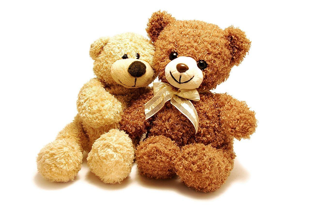 1280x853 Desktop Wallpaper 2 Teddy bear toy