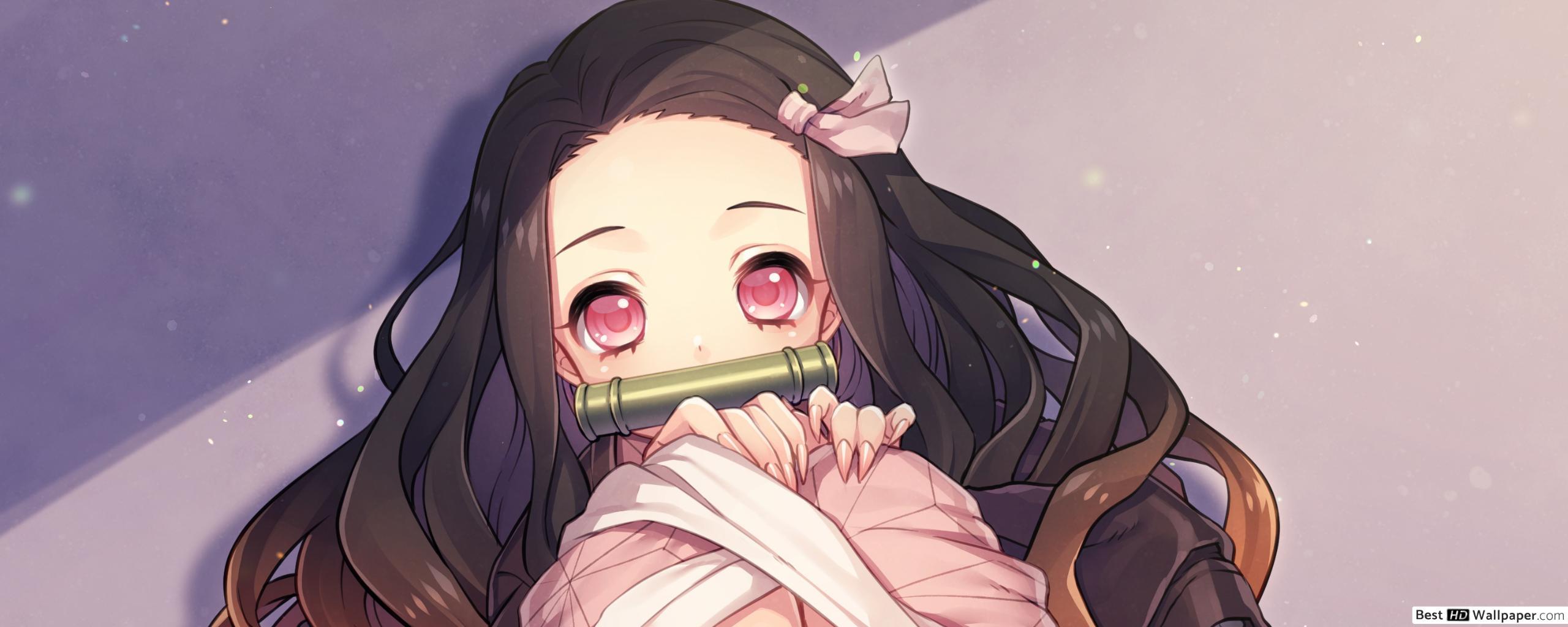 2560x1024 Aesthetic Anime Wallpaper Nezuko