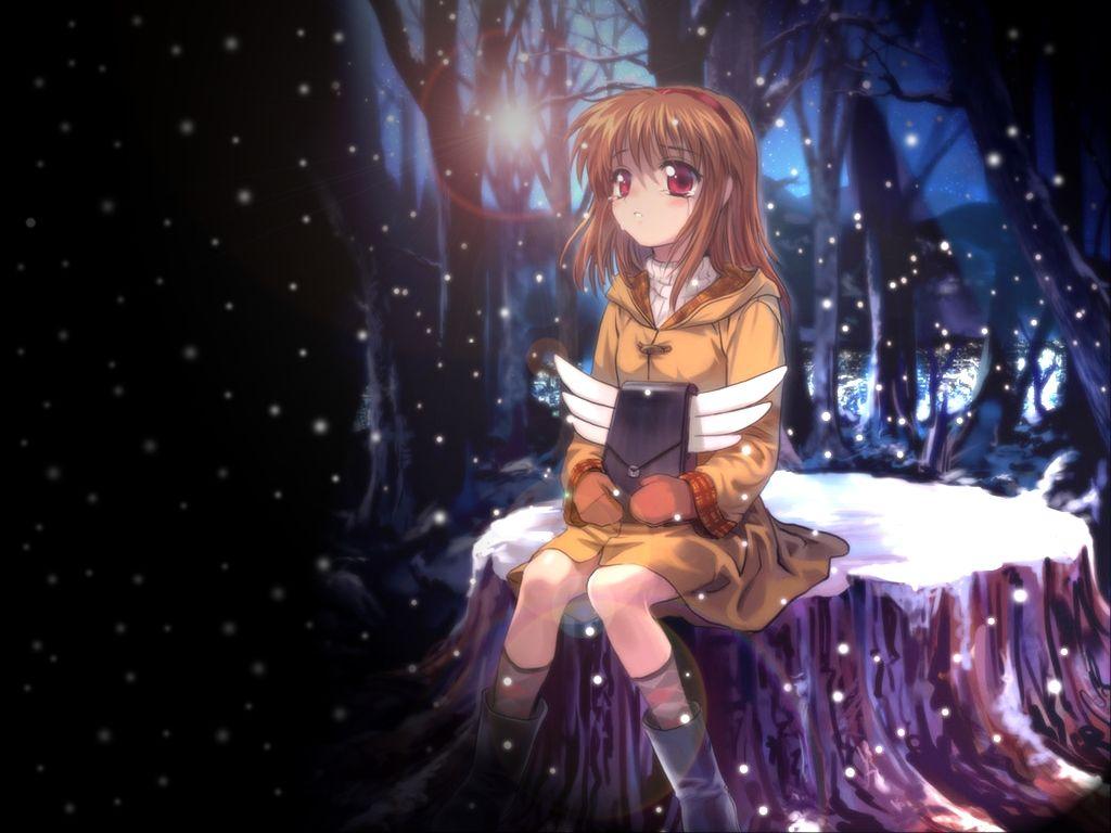 1024x768 Kanon and Scan Gallery