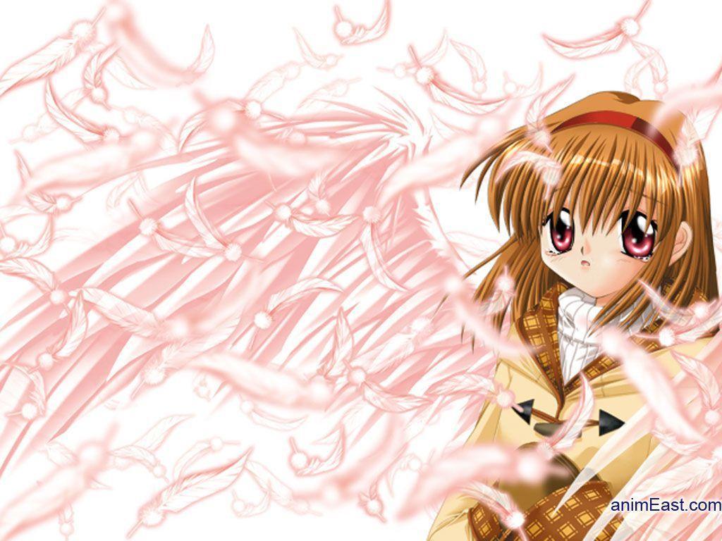 1024x768 Kanon 2006 Wallpaper