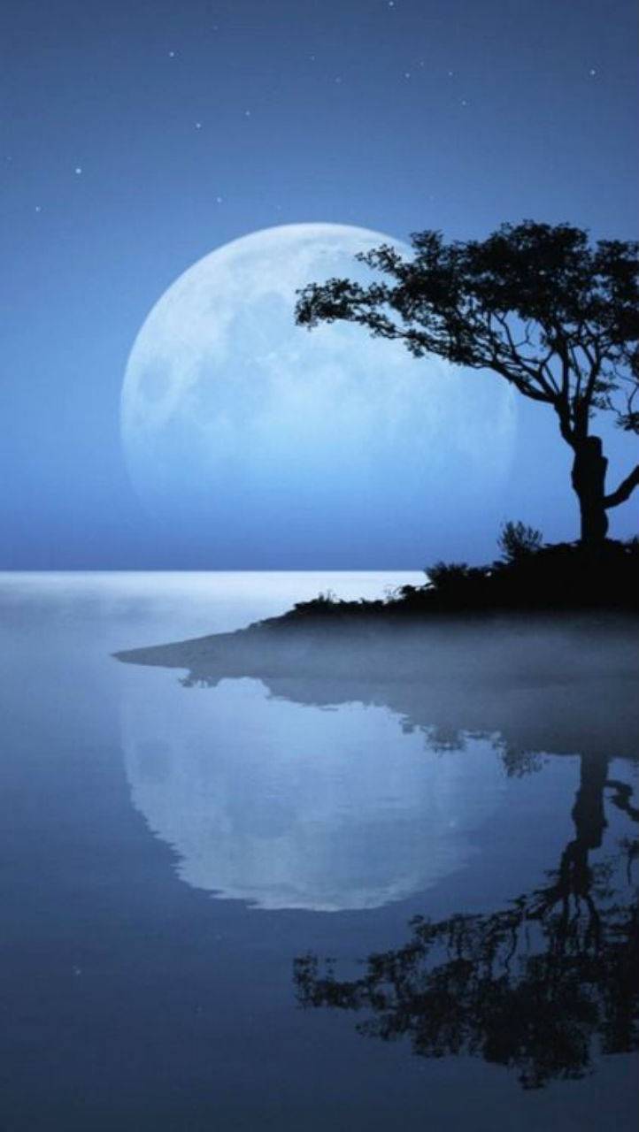 722x1280 Free Full Moon Wallpaper HD. Wallpaper
