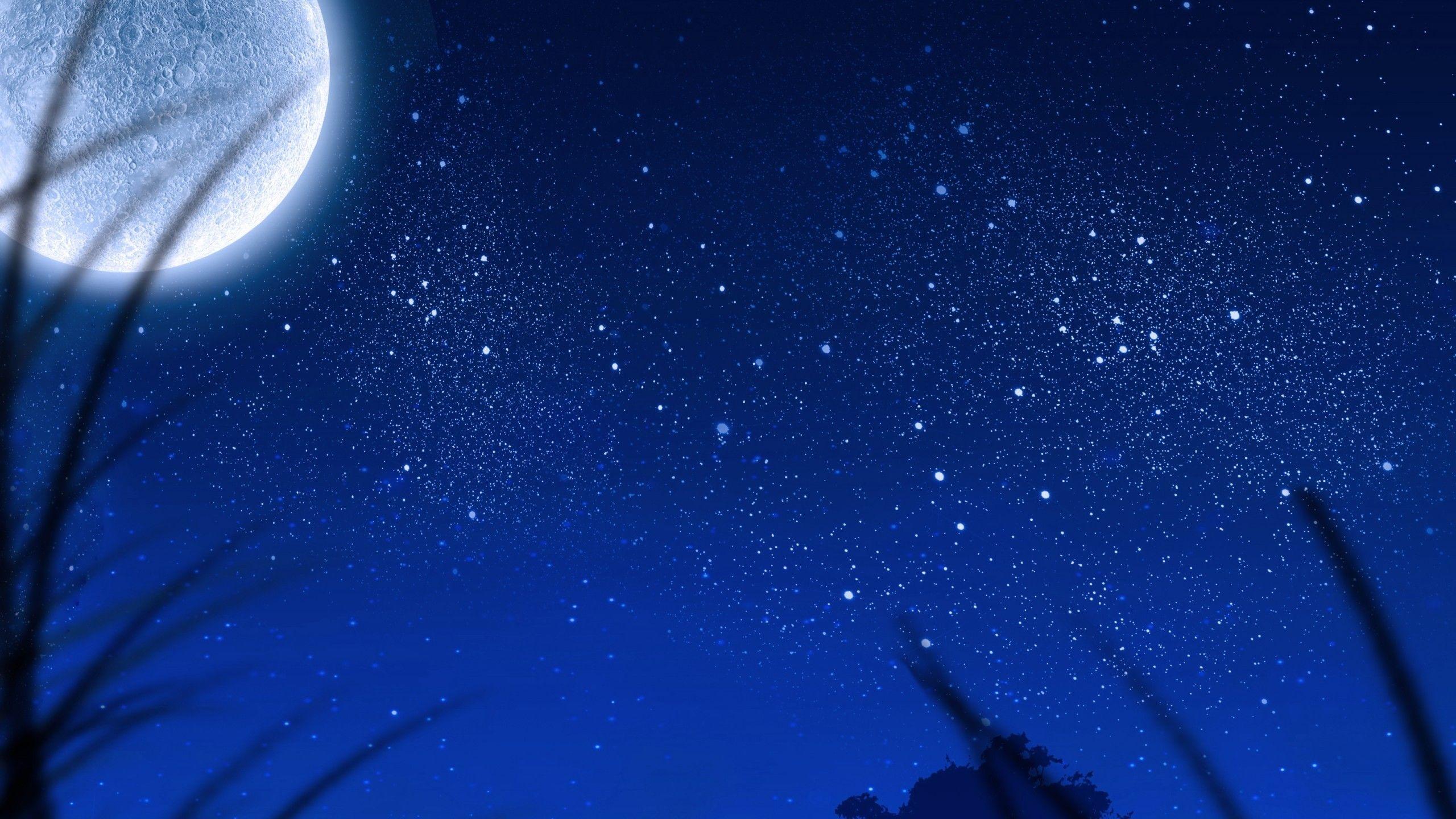 2560x1440 Download 2560x1440 Big Moon, Stars, Plants, Night, Scenic Wallpaper for iMac 27 inch