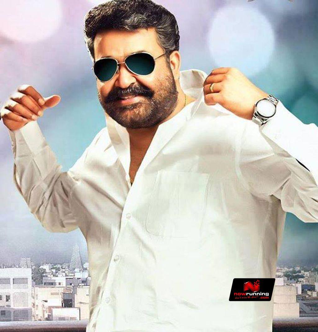 1024x1067 Jilla Wallpaper