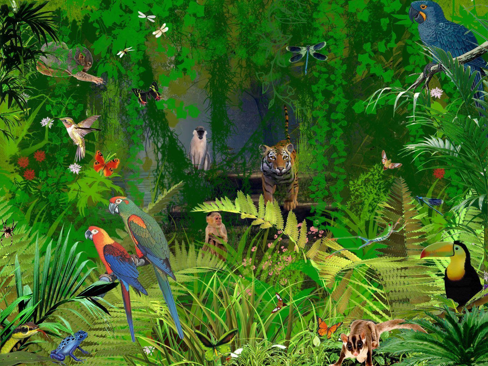 1600x1200 Jungle Themed Wallpaper .