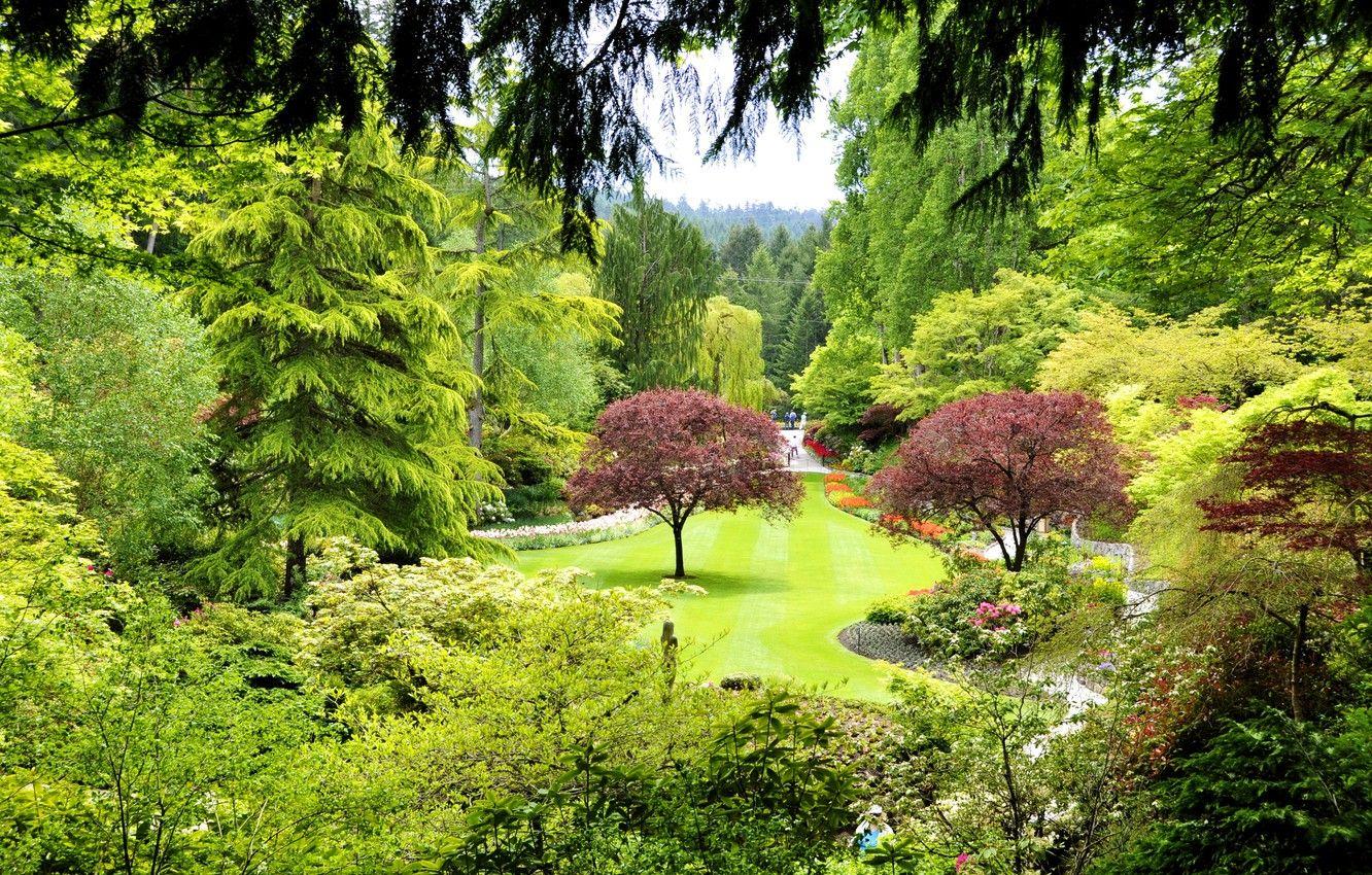 1332x850 Wallpaper grass, trees, Park, lawn, garden, Canada, the bushes, Butchart Gardens image for desktop, section природа
