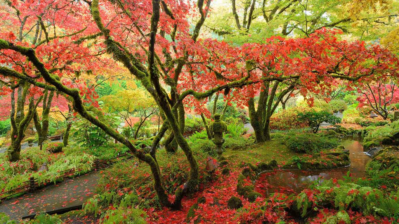 1366x768 Bing Wallpaper Archive