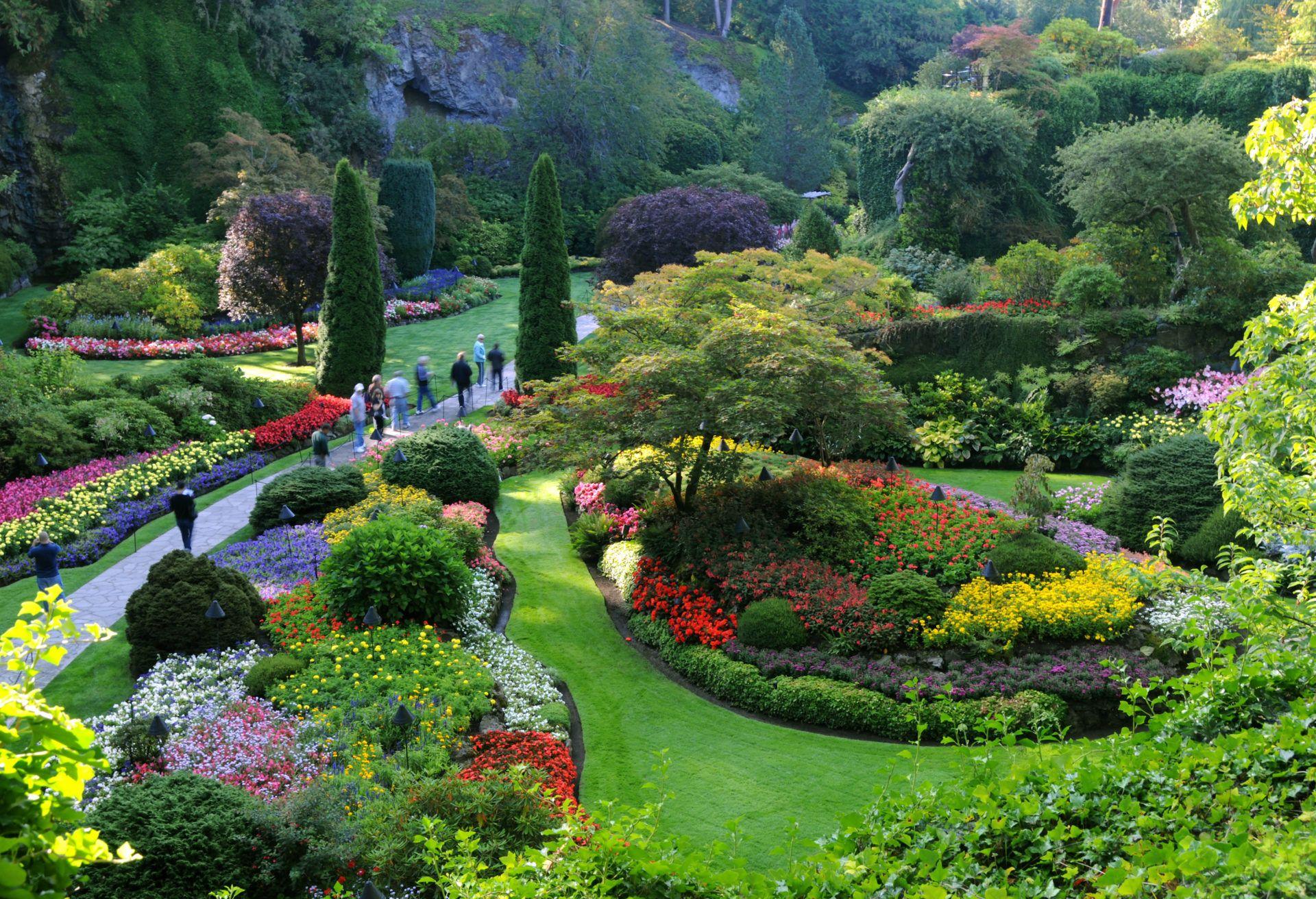 1920x1312 My Garden HD Wallpaper New Tab Theme