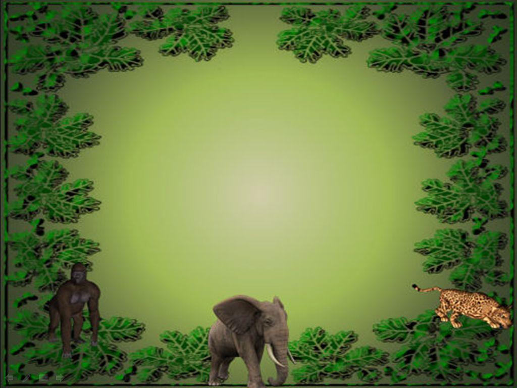 1024x768 Jungle PowerPoint Background. Awsome PowerPoint Background, Awesome PowerPoint Background and Tablet PowerPoint Background