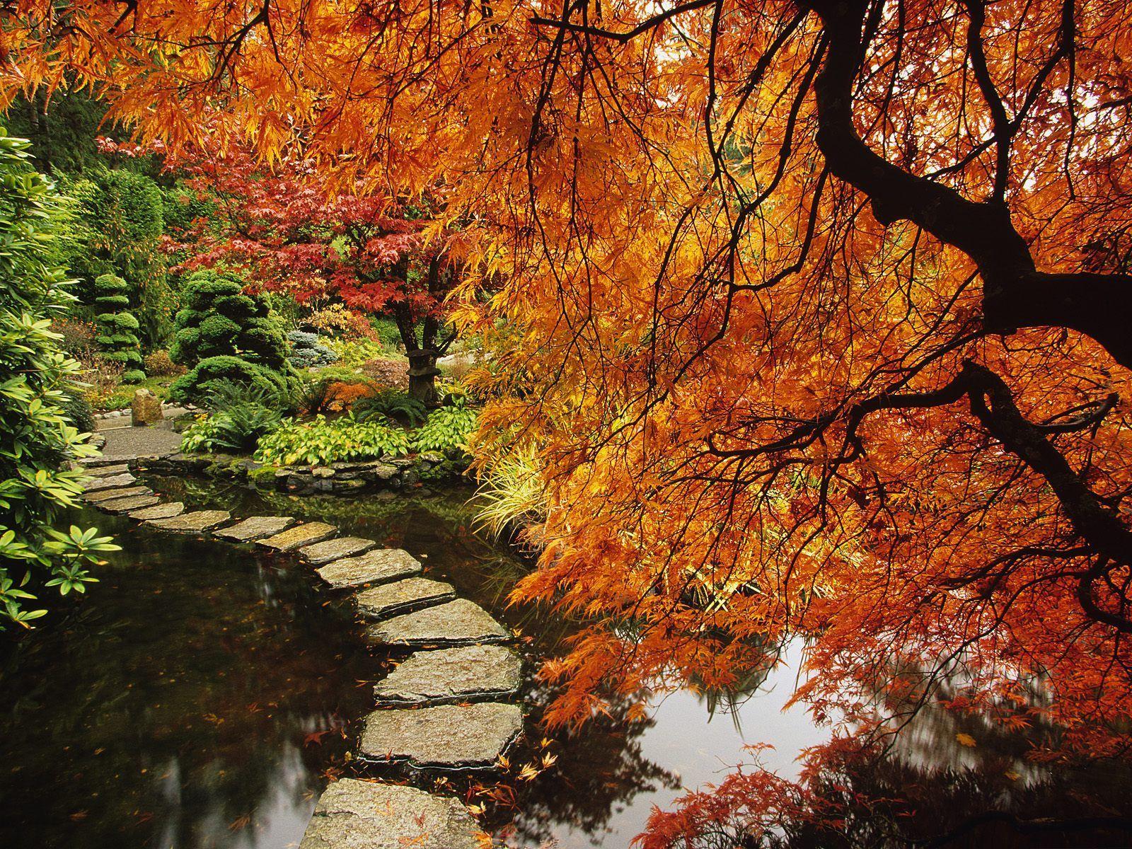 1600x1200 Nature Photography Computer (1600×1200). Butchart Gardens, Buchart Gardens, Japanese Garden