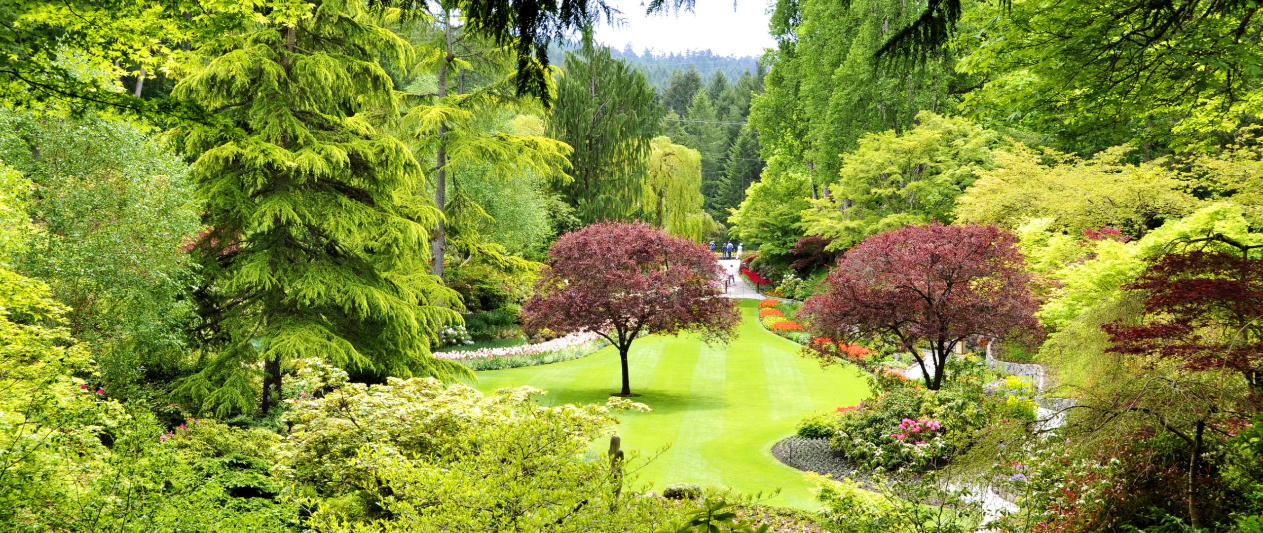2560x1080 canada, butchart gardens, trees 2560x1080 Resolution Wallpaper, HD Nature 4K Wallpaper, Image, Photo and Background