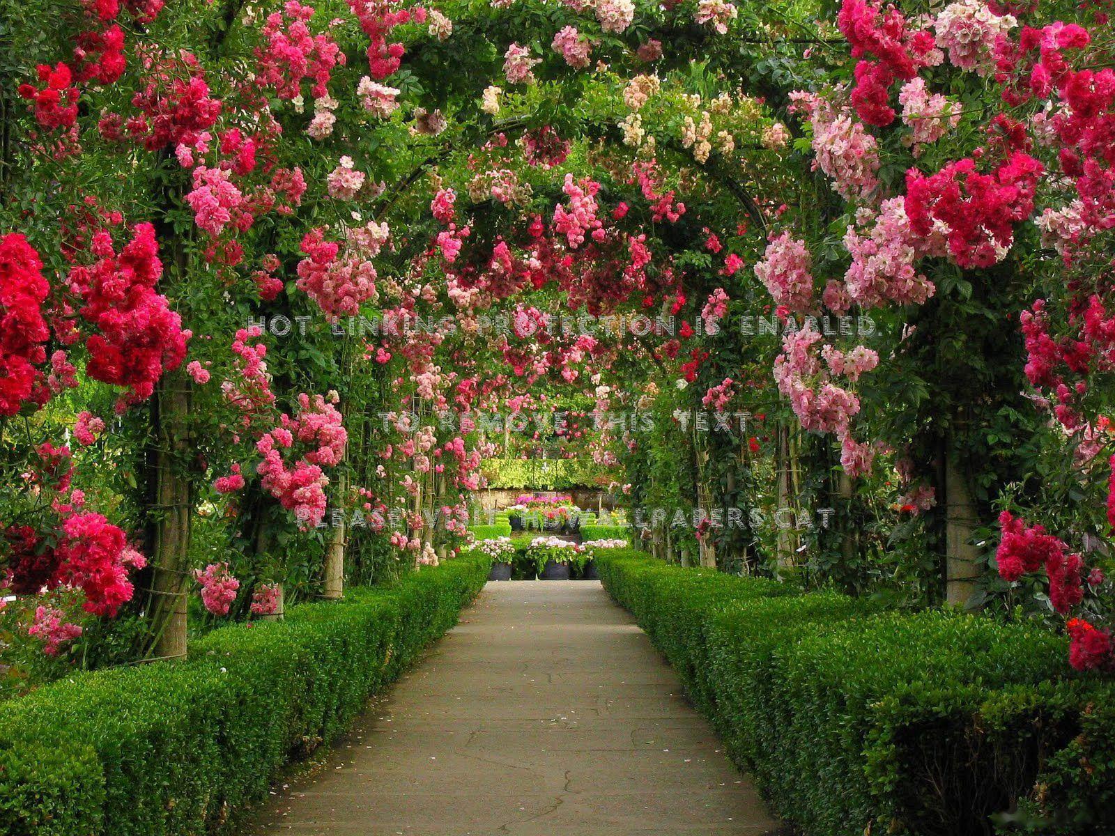 1600x1200 path of roses butchart gardens canada park