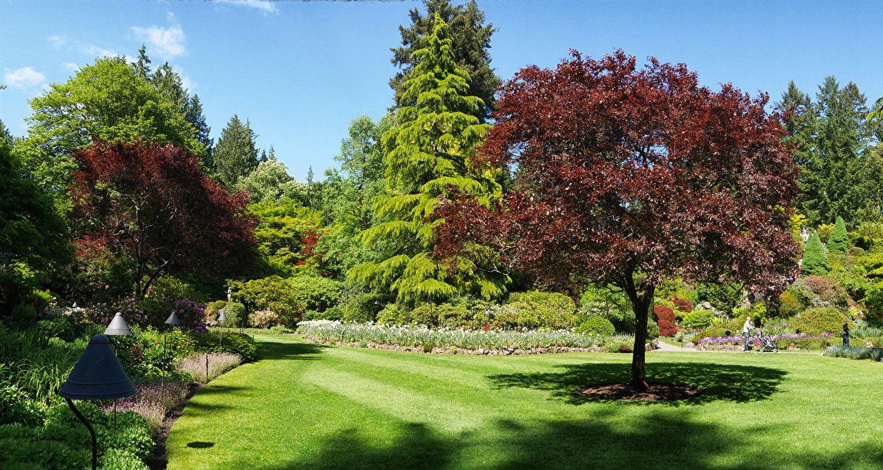 1280x682 Photos Canada Butchart Gardens Nature Lawn Trees Shrubs