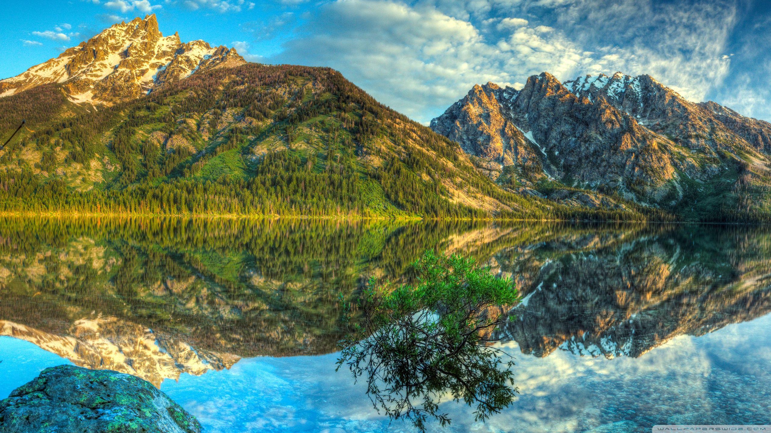 2560x1440 Spring Mountain Wallpaper HD