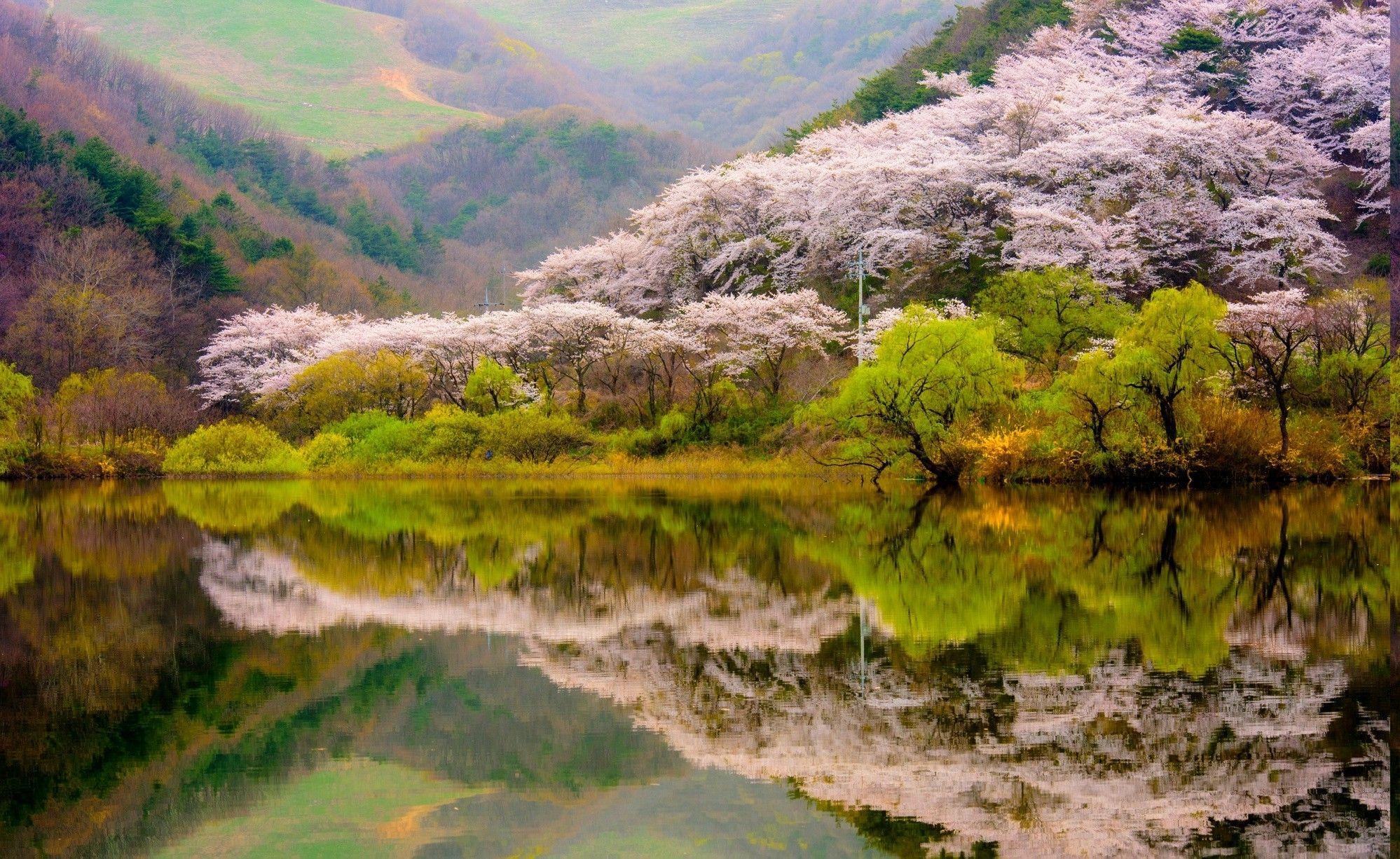 1998x1226 Spring Mountain Desktop Wallpaper HD