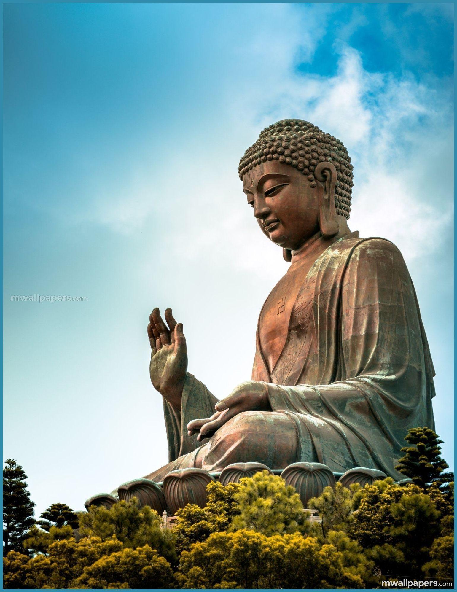 1541x1996 Buddha Desktop Wallpaper