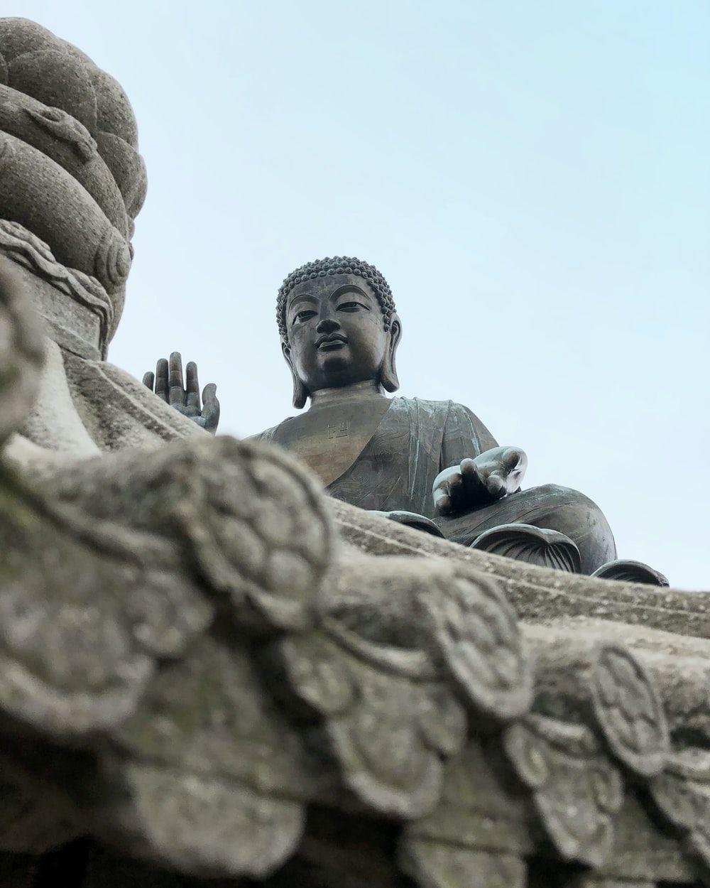 1000x1250 Gautama Buddha Picture [HD]. Download Free Image