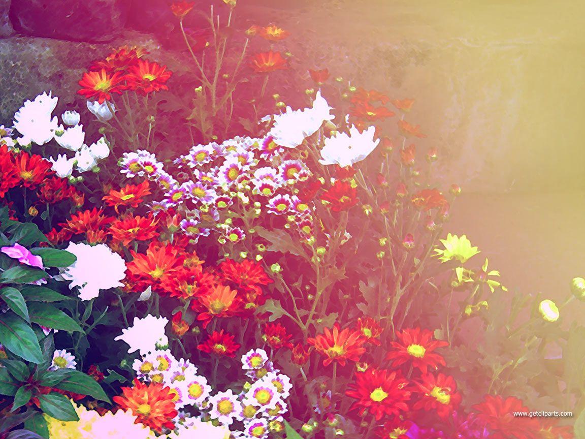 1152x864 Floral Desktop Background. Beautiful Widescreen Desktop Wallpaper, Desktop Wallpaper and Naruto Desktop Background