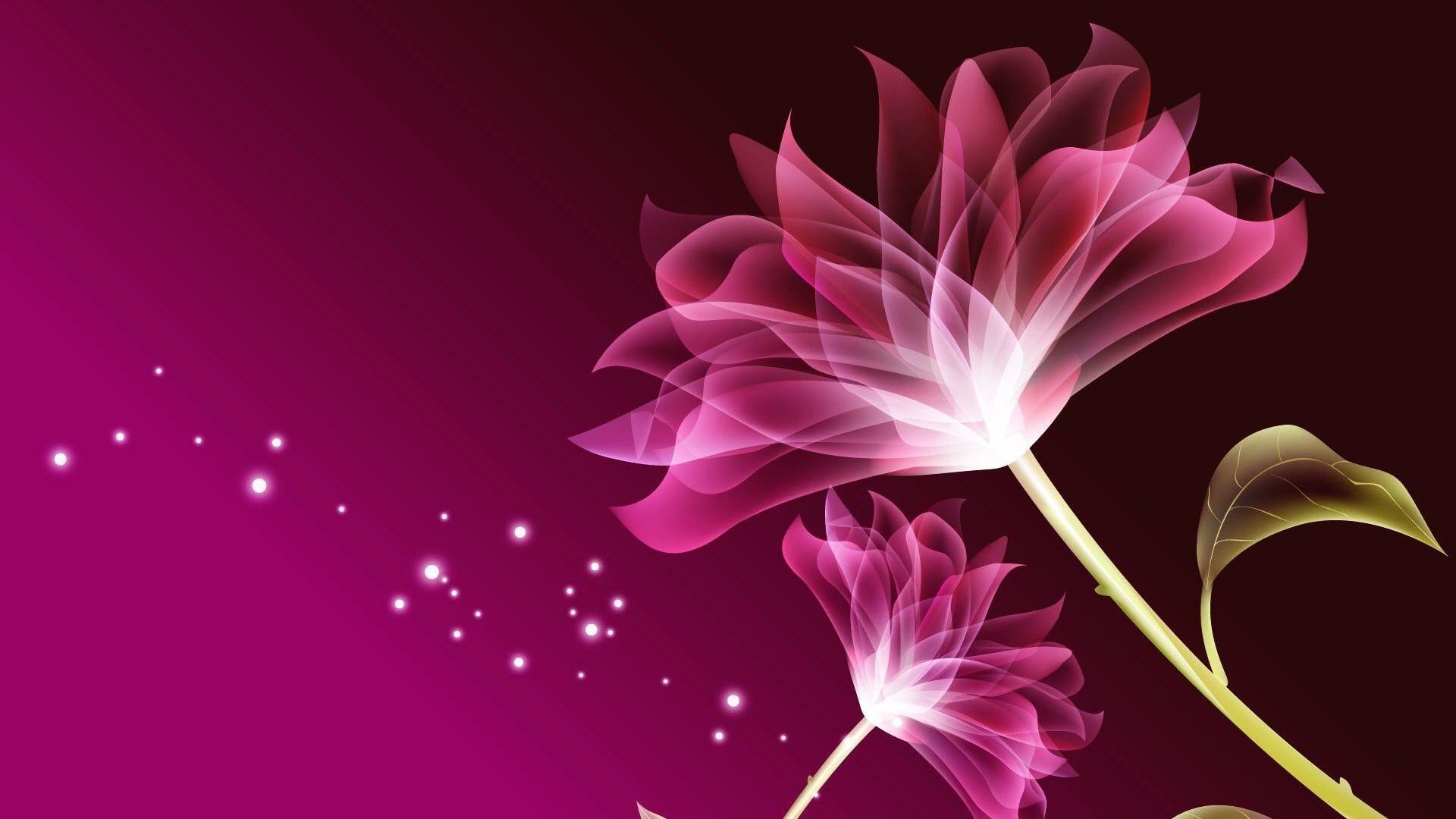 1920x1080 Pink Flower Desktop Wallpaper