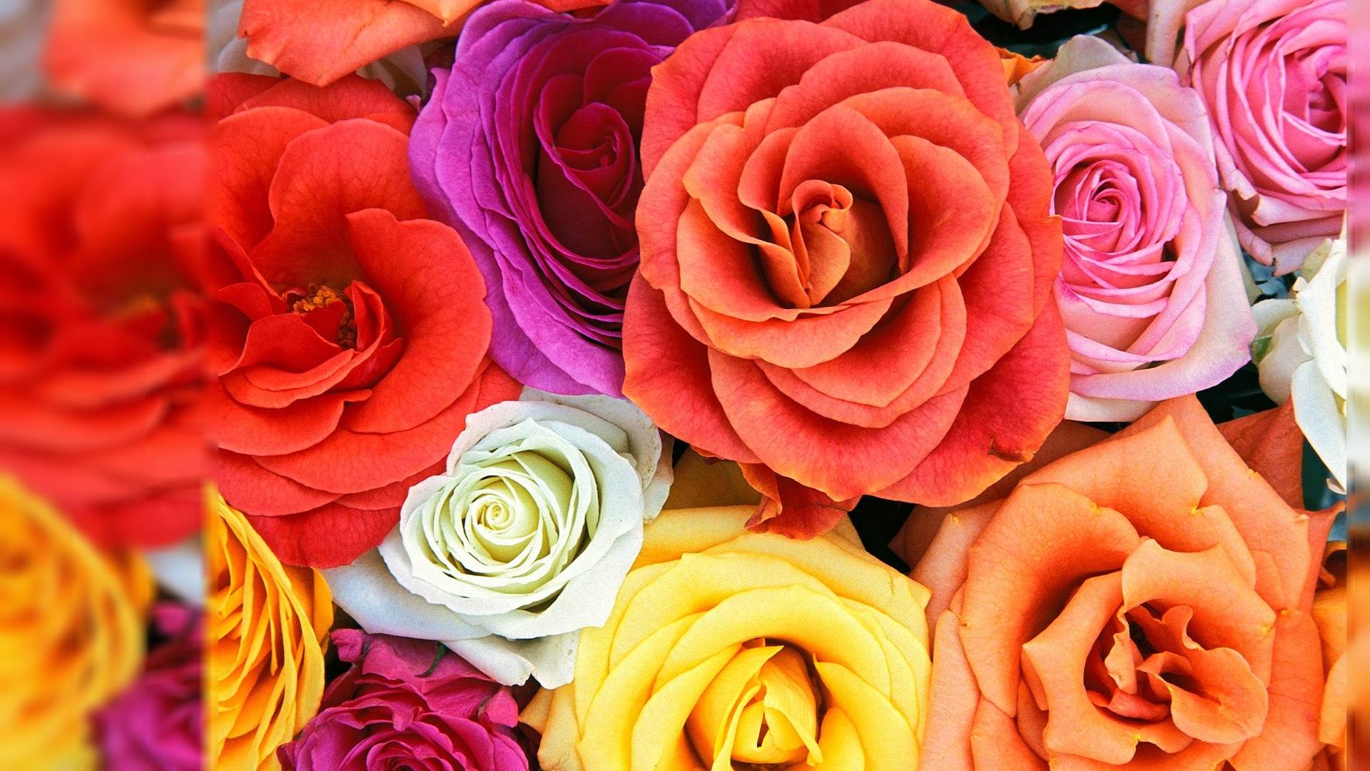 1920x1080 Floral Computer Wallpaper