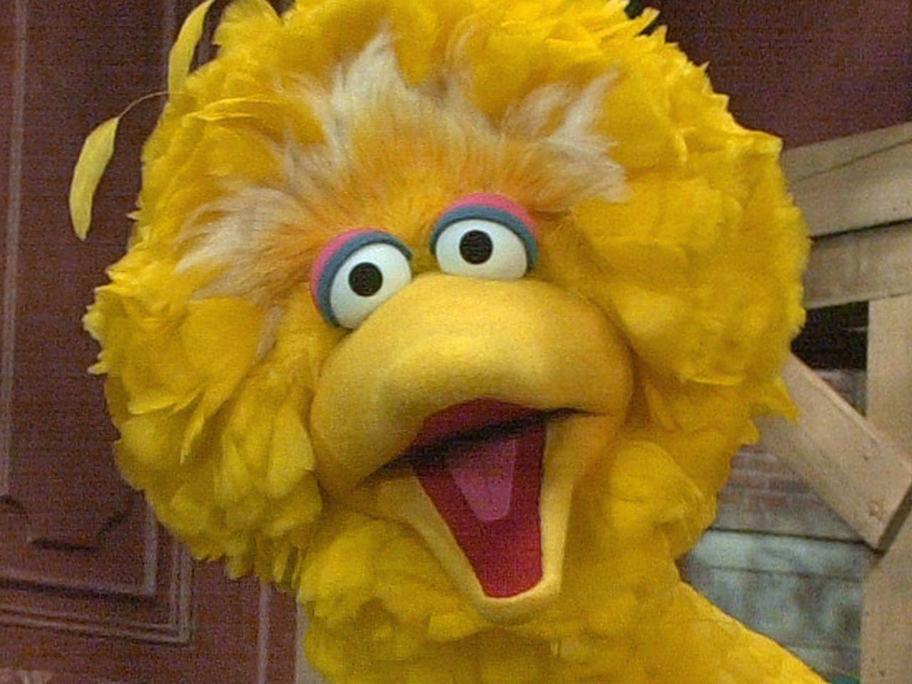 1280x960 Big Bird Wallpaper