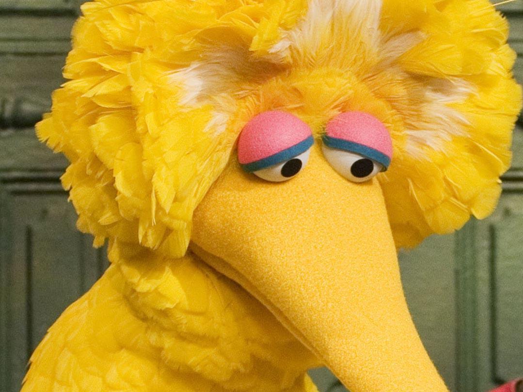 Doodle Big Bird 4k HD Artist 4k Wallpapers Images Backgrounds Photos  and Pictures