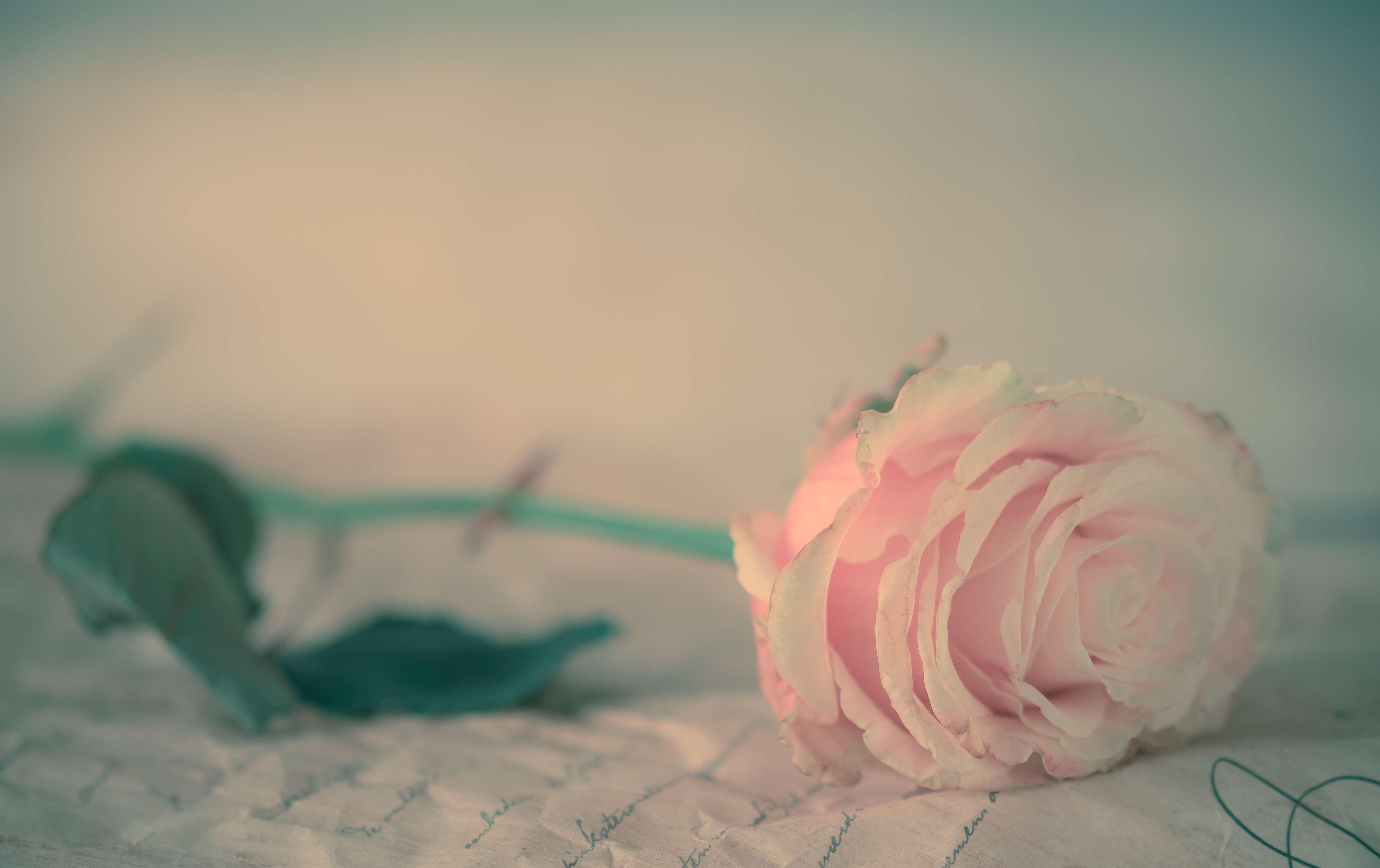 5456x3434 Vintage Floral Computer Wallpaper