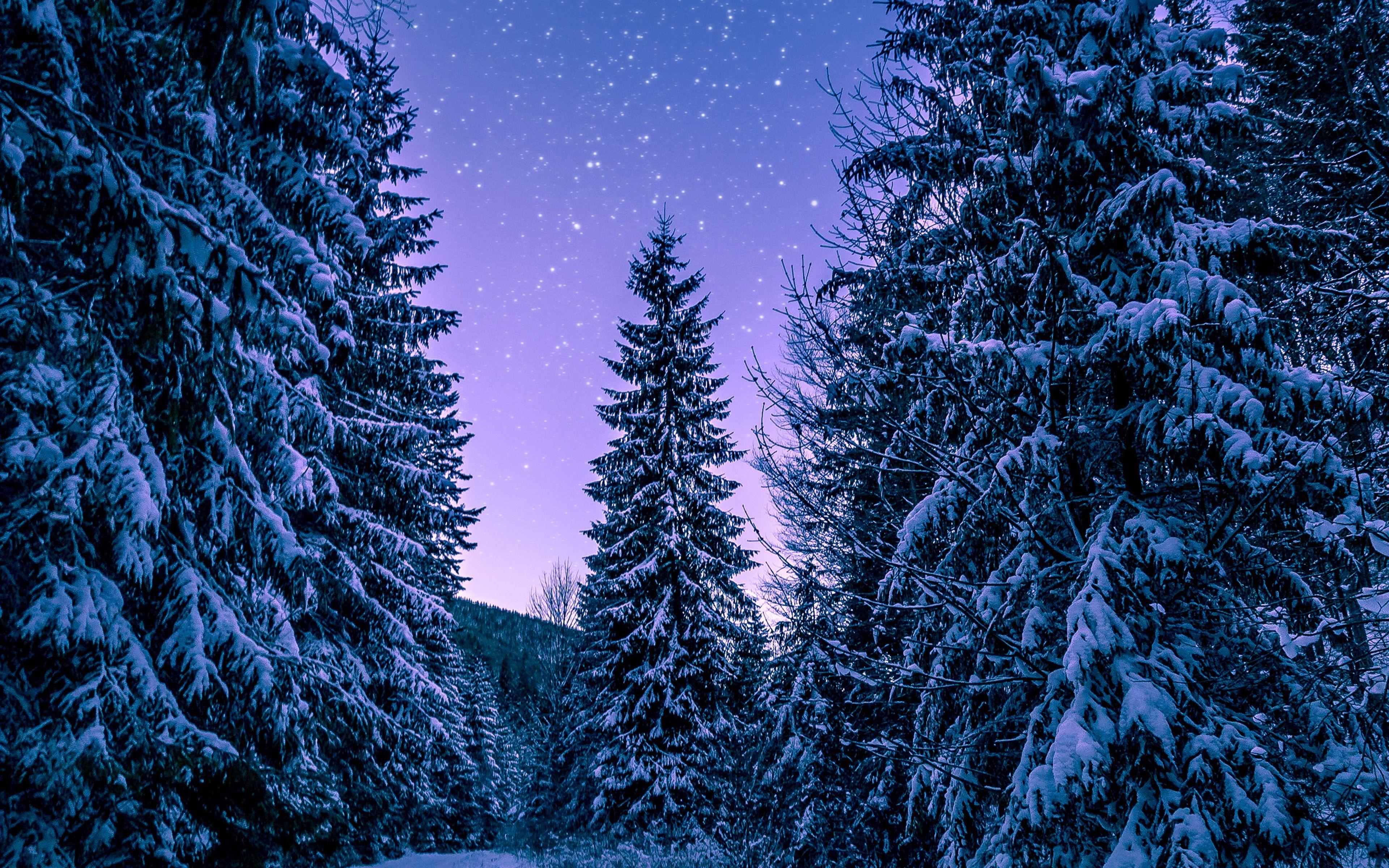 3840x2400 Winter Wallpaper 4K Dark .
