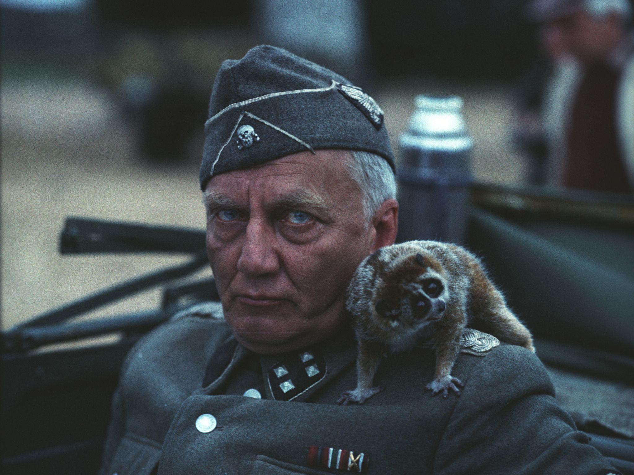 2048x1536 Walter Stein