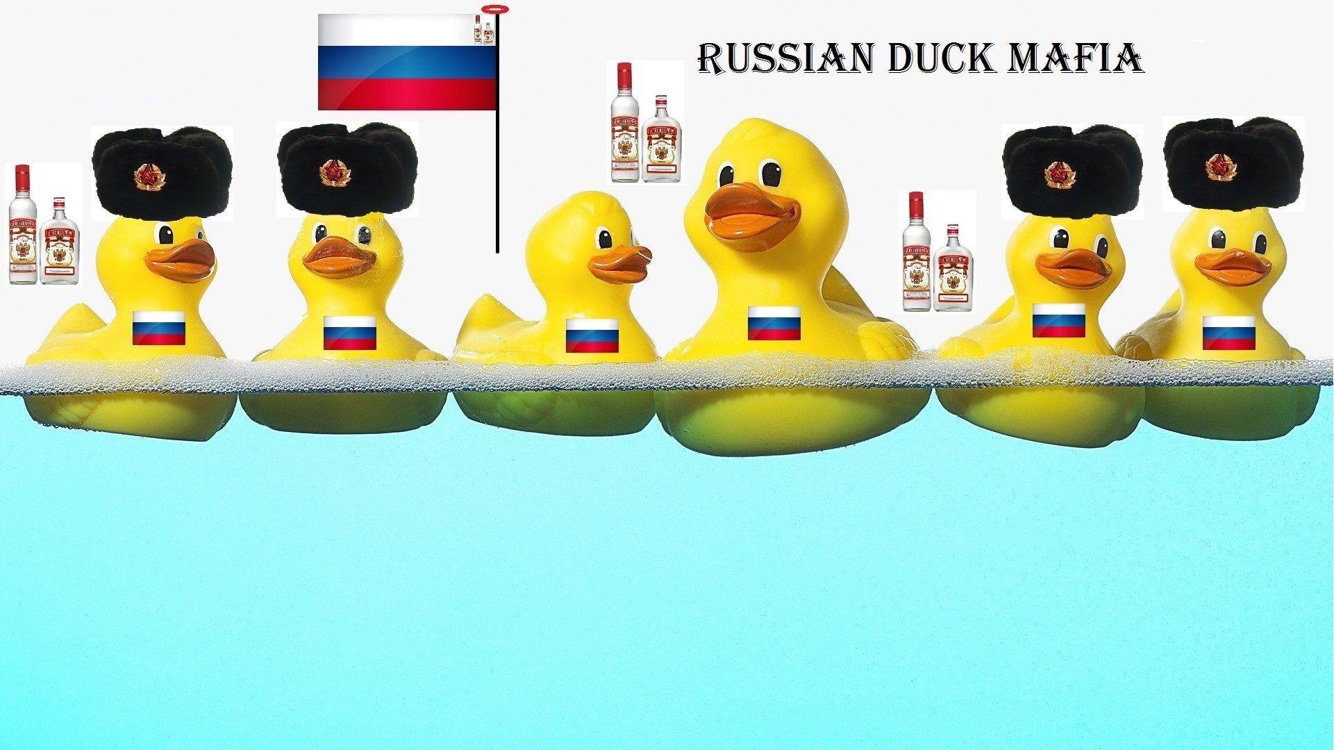 1921x1080 Russian Duck Mafia[1920*1080]