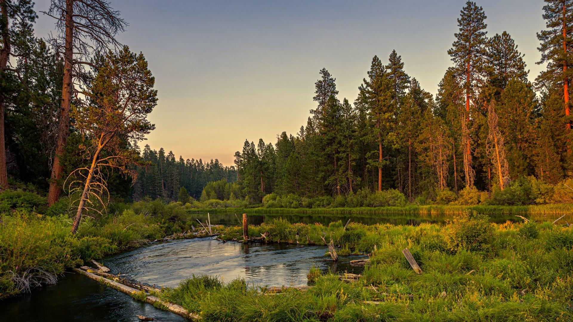 1920x1080 14++ Nature Wallpaper 1920x1080
